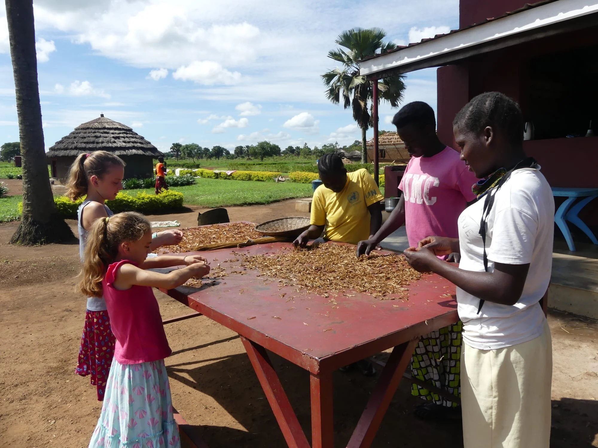 The Night of the Flying Termites