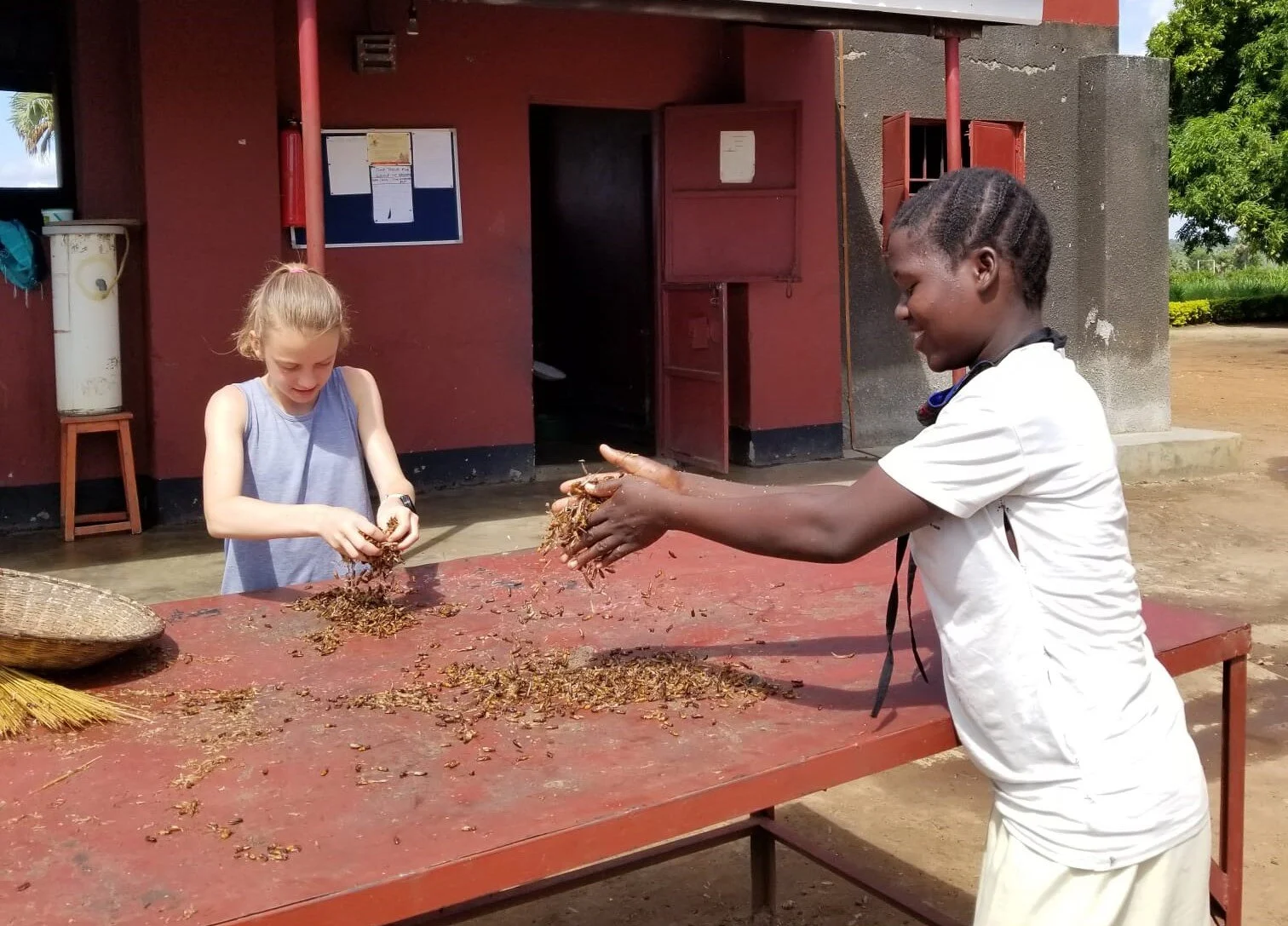 Finding My Second Home