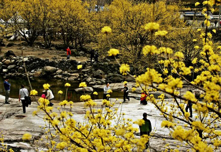 Photo: VisitKorea