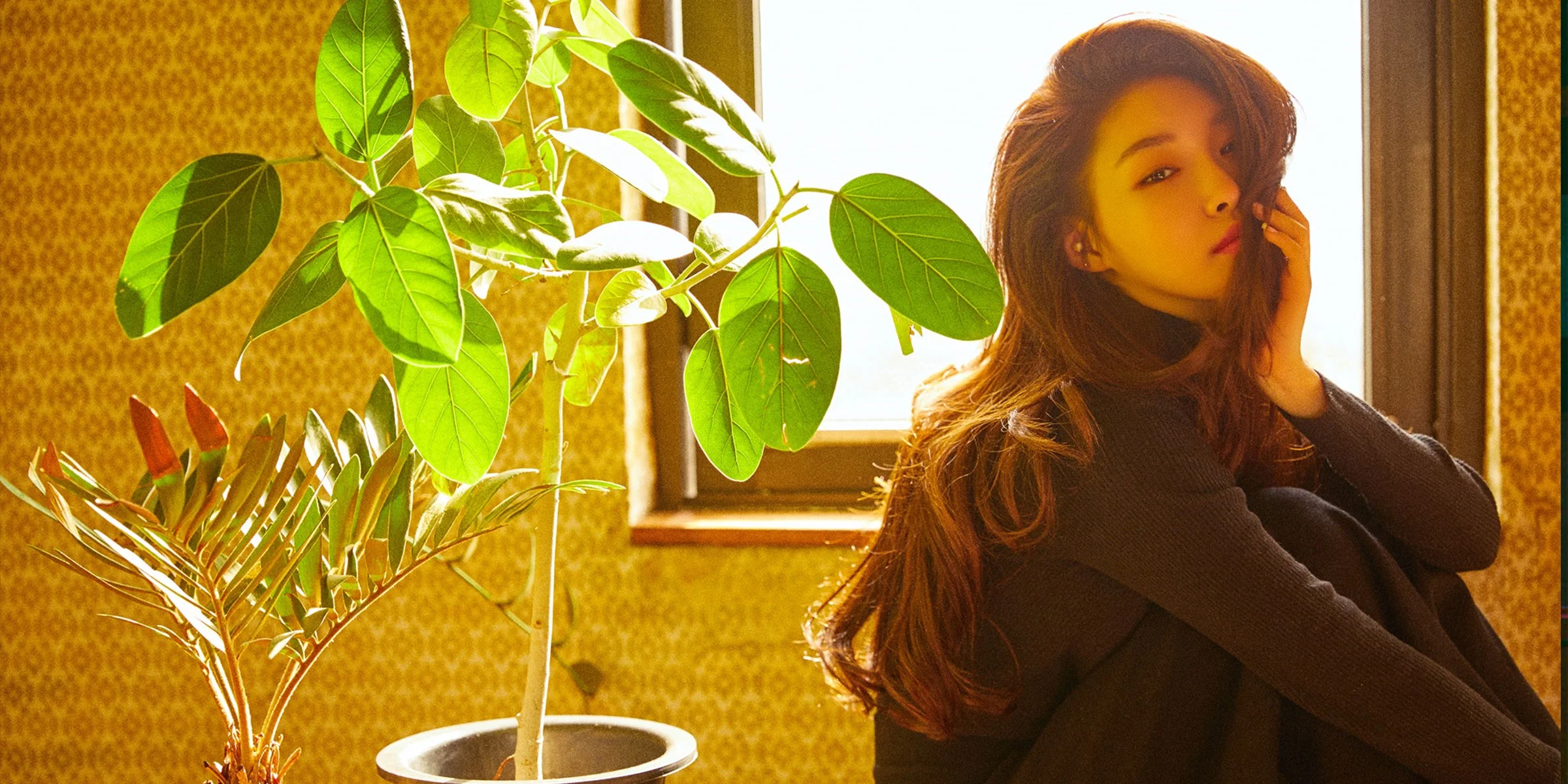 Chungha is Blooming Blue This Summer