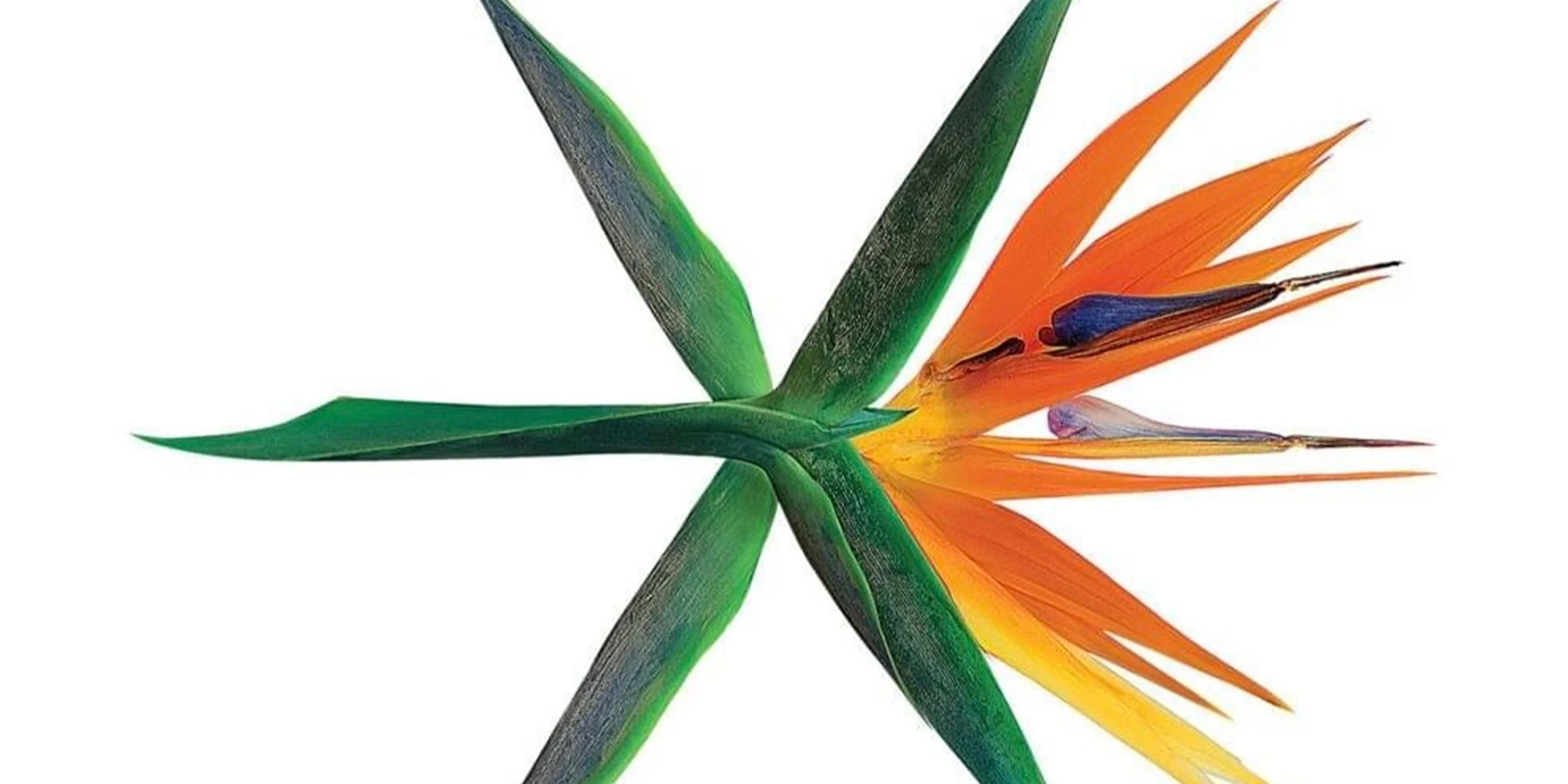 EXO’s Top-Tier B-Side List Part 1 