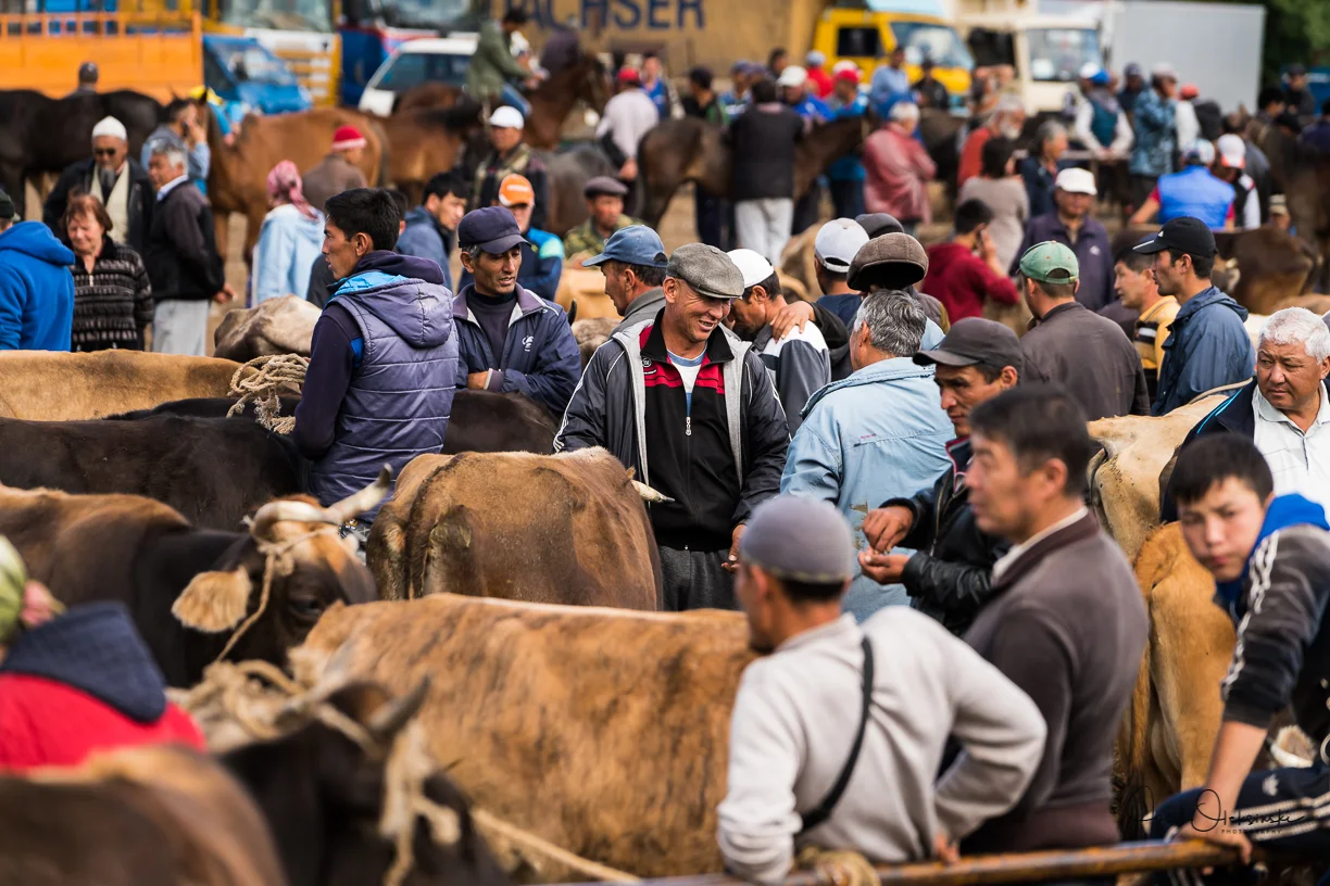 The main square at the animal market where most of the transcations take place