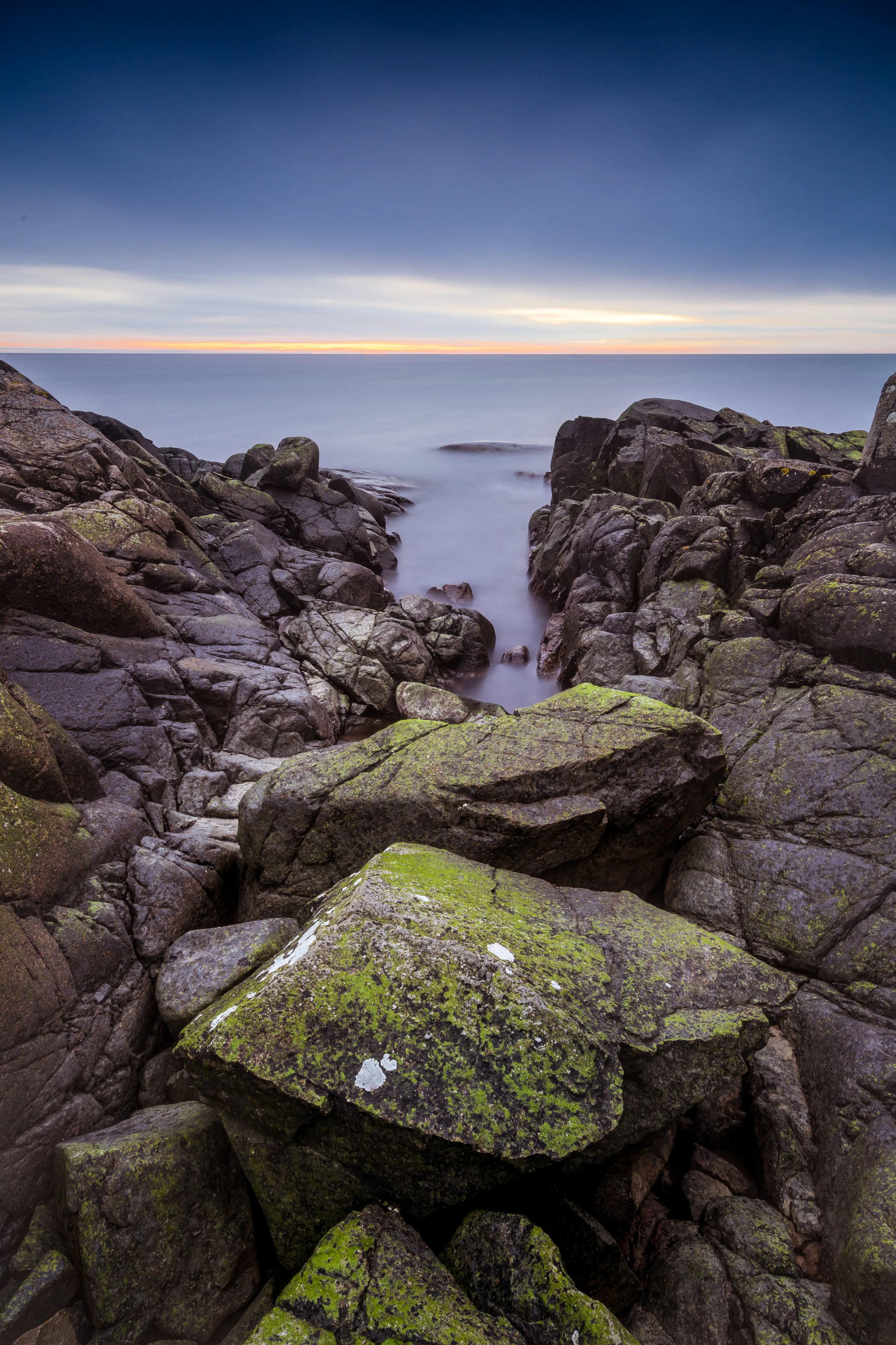 My second vertical image of the day