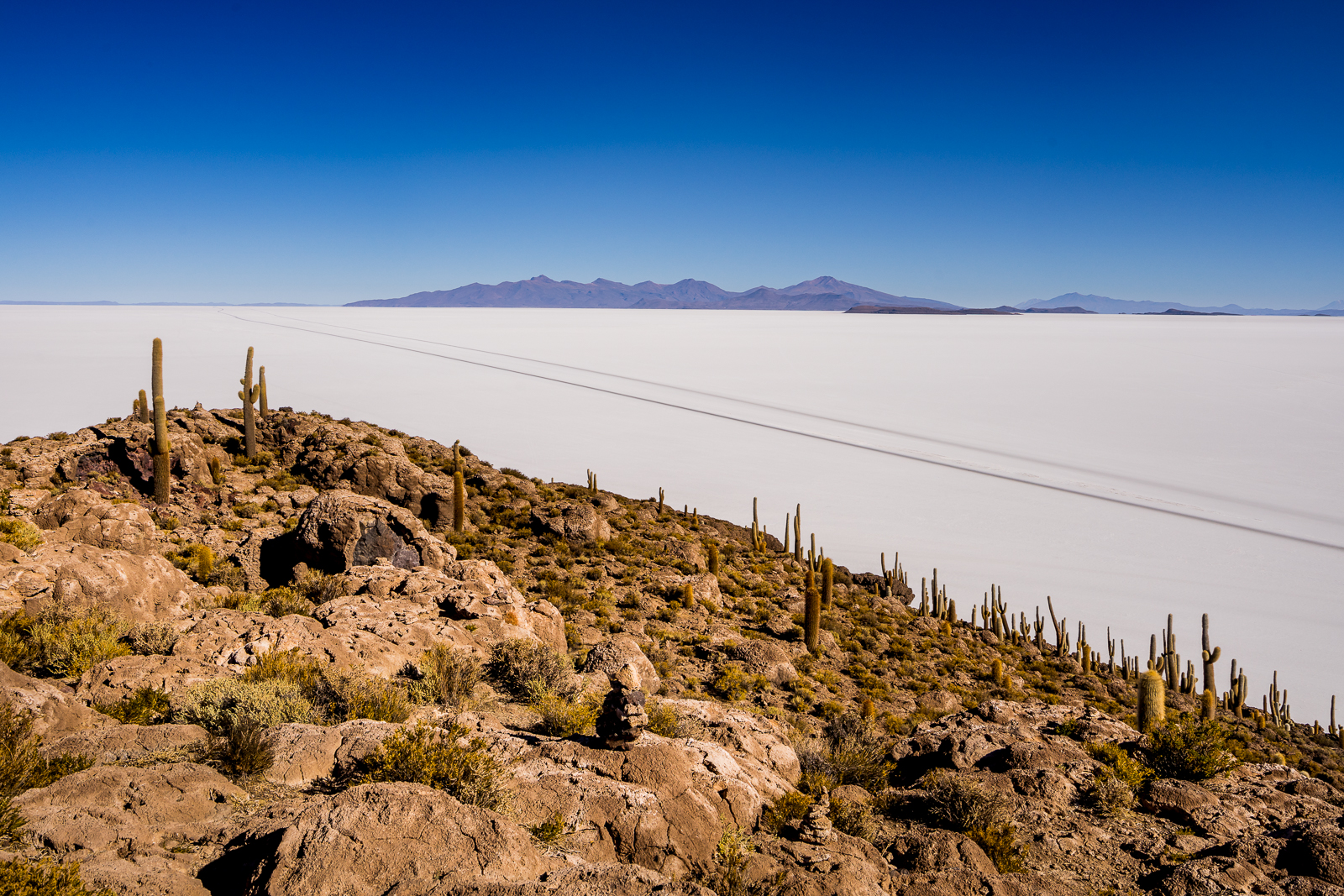 The salt flats seen from the top of cactus island