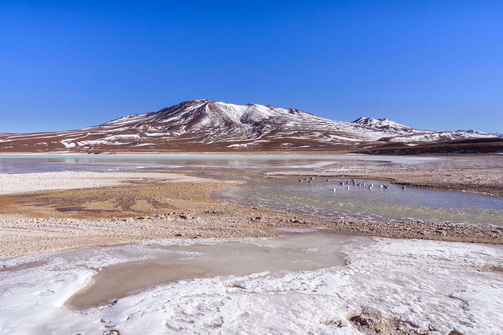 Laguna Verde early morning