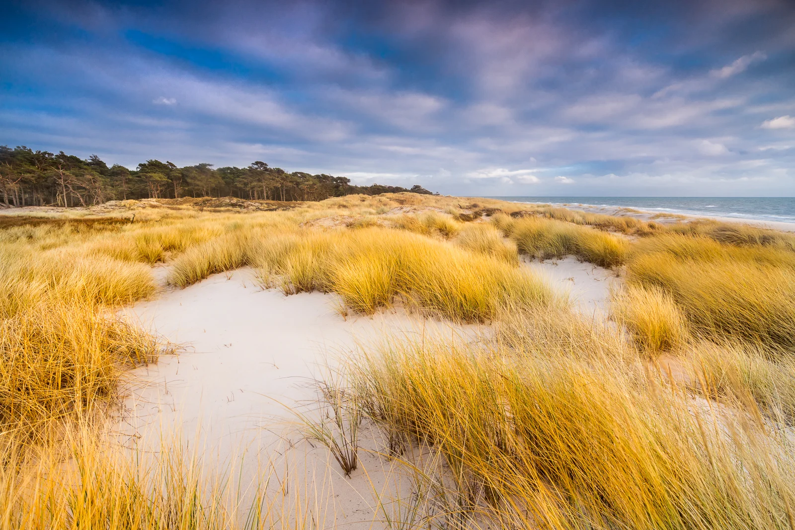 The sand dunes at the beach at Backåkra