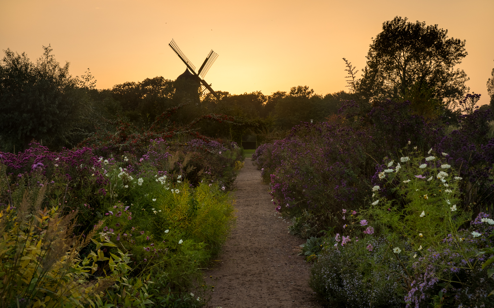 The flower and vegetable garden in Kungsparken.