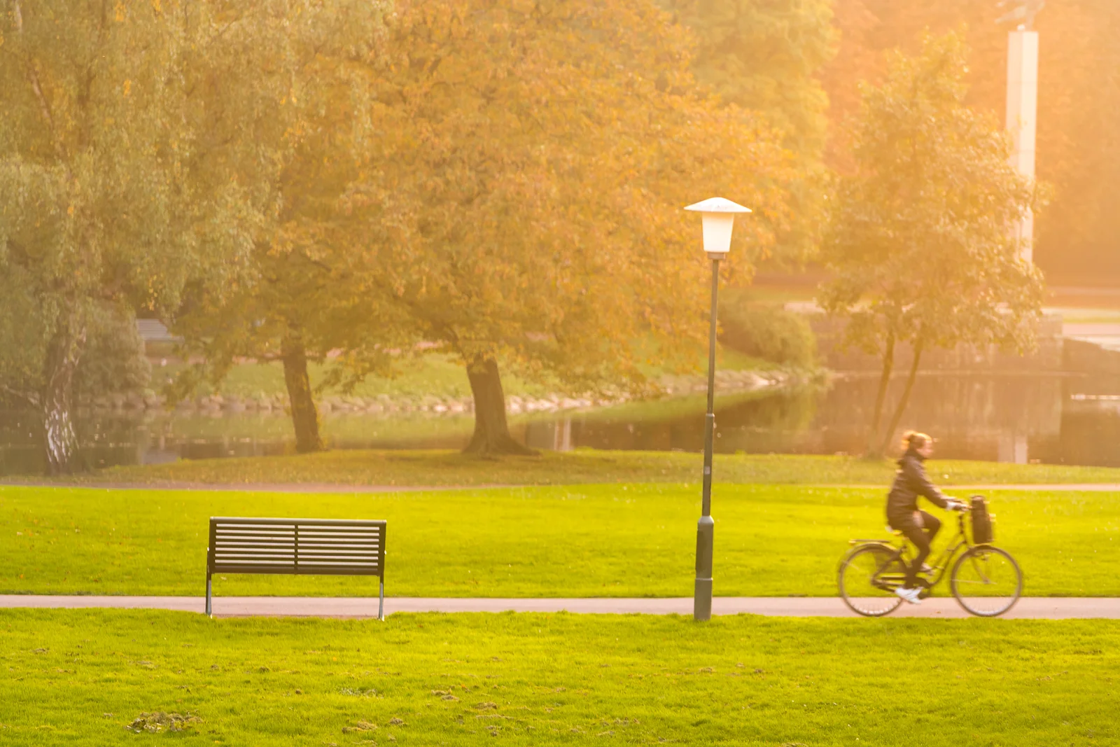 The park in sunset light