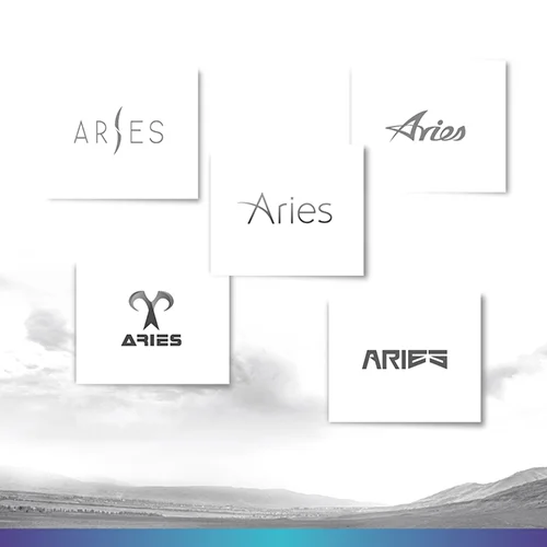 Aries_3.jpg