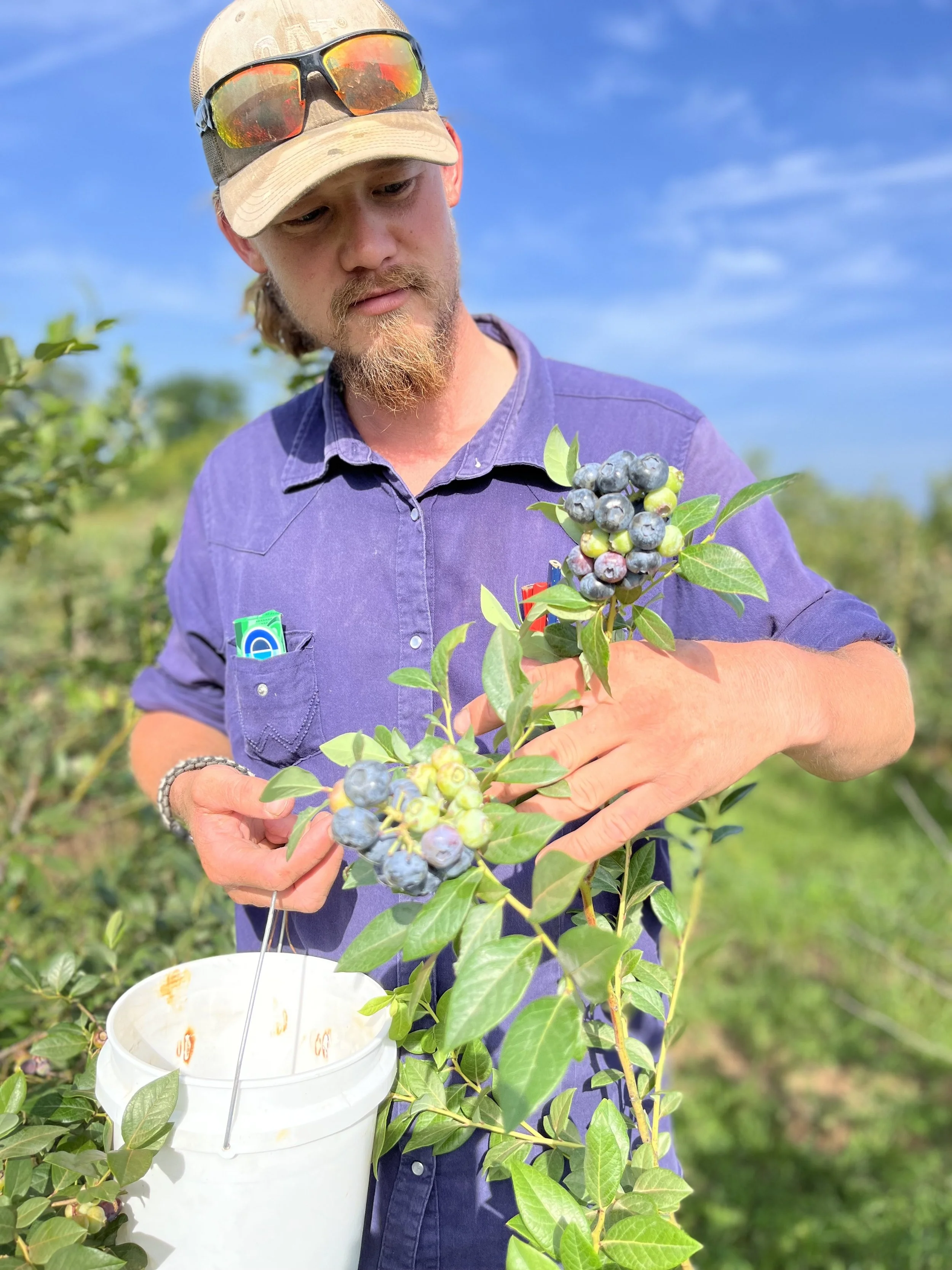 The Bungalow Hotel & Lodging in Talihina, OK