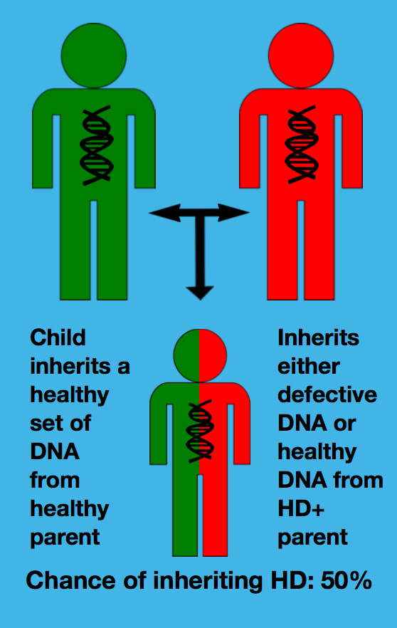 About Huntington Disease — Hereditary Neurological Disease Centre