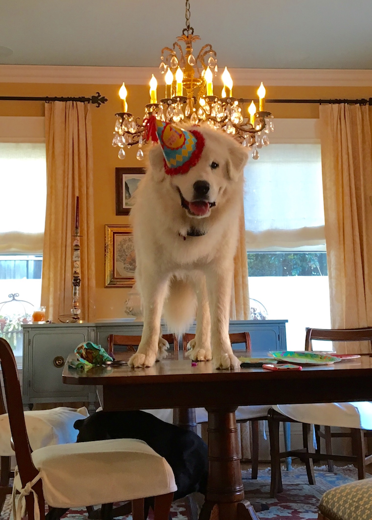 Chinook_table.png