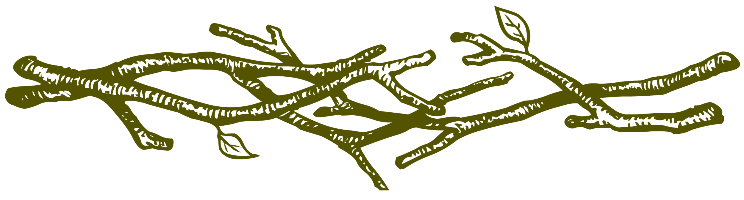bough.png