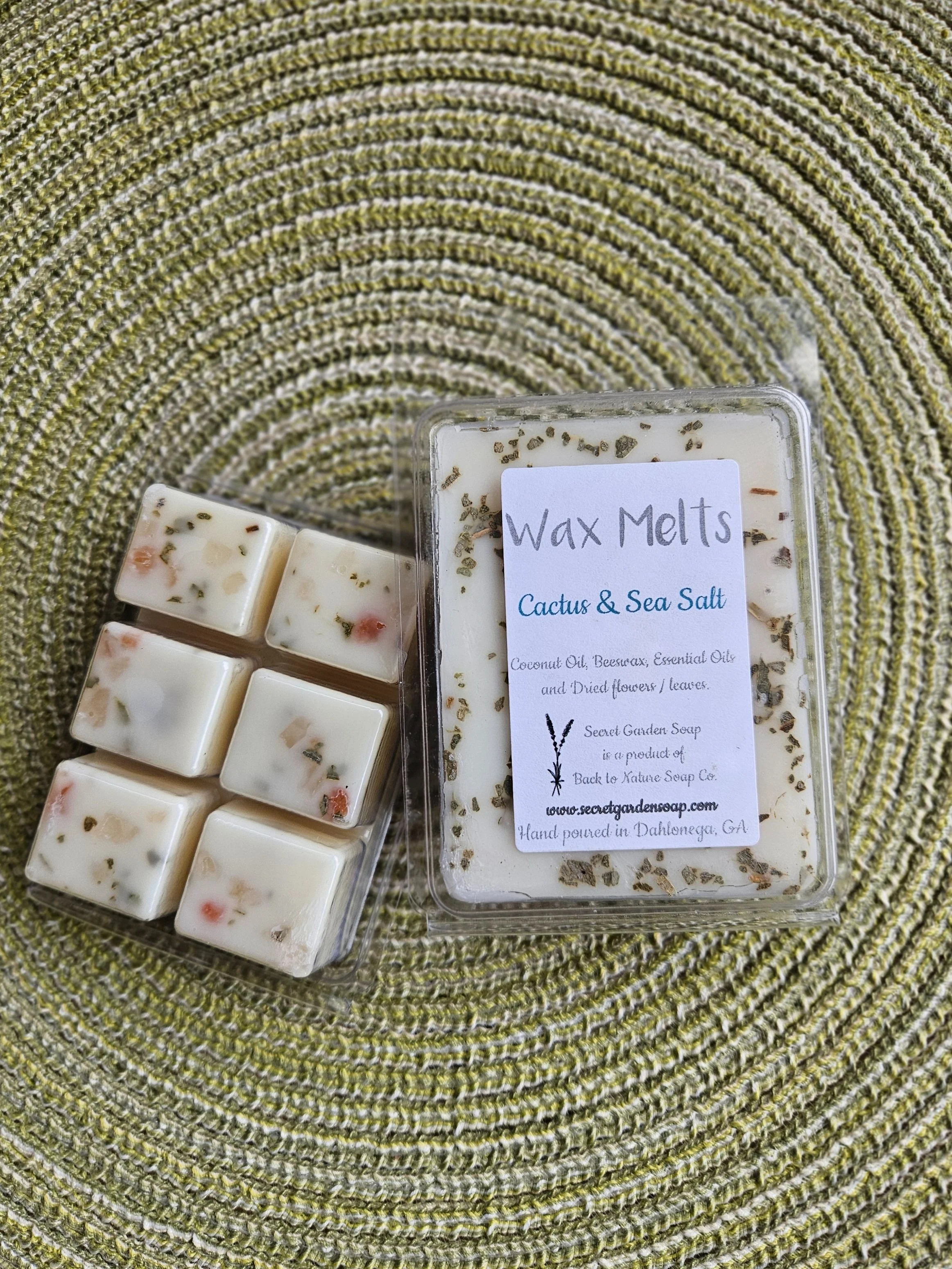 992ae85f-b9ef-4e06-a5bd-01a78d501a99+Cactus+Sea+Salt+Wax+Melts.jpg