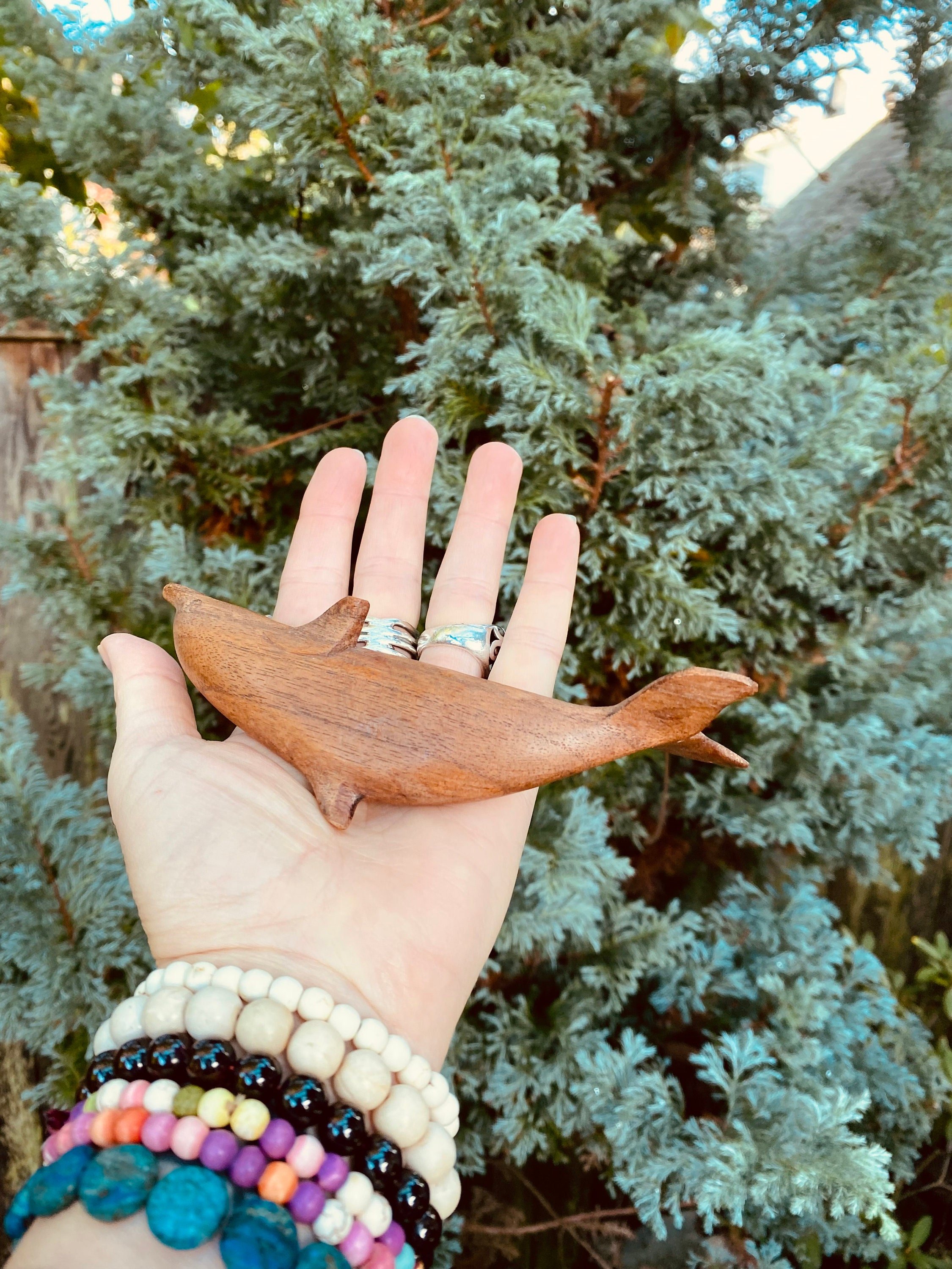 https://i.etsystatic.com/14256978/r/il/9ca85f/3485480069/il_fullxfull.3485480069_aoai.jpg