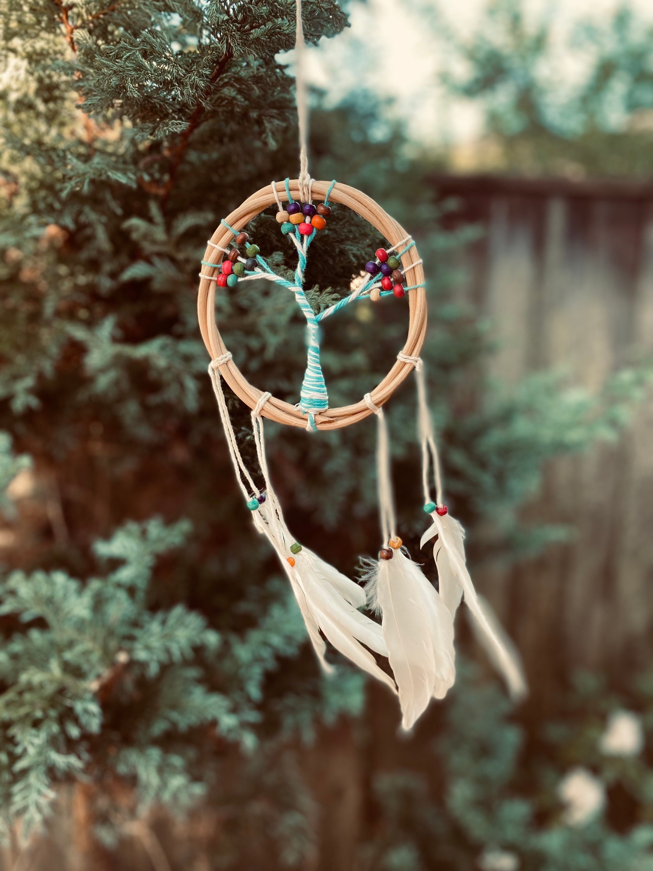 https://i.etsystatic.com/14256978/r/il/deaa58/3116168357/il_fullxfull.3116168357_t14n.jpg