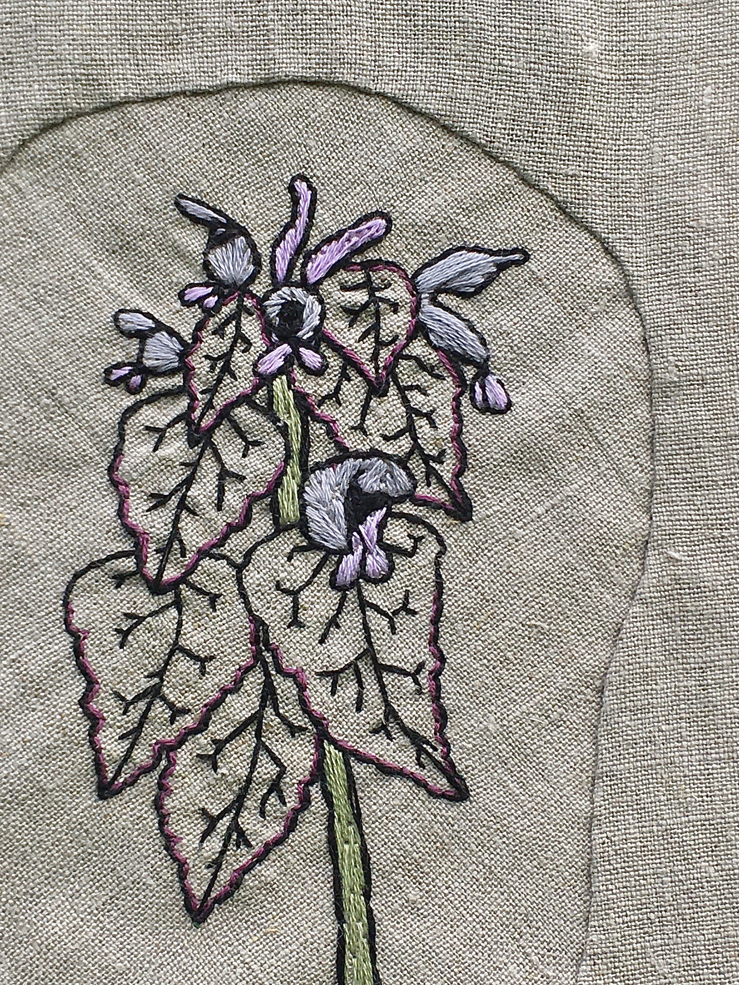  Dead Nettle detail 