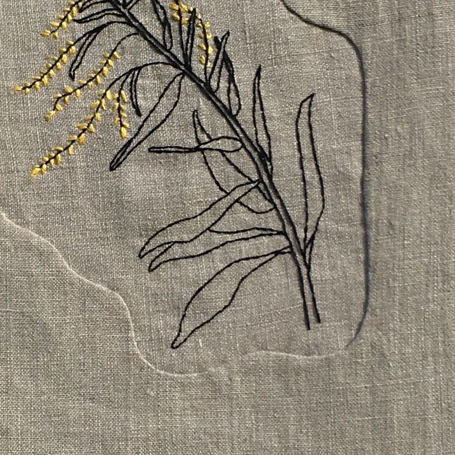 01Solidago.jpg