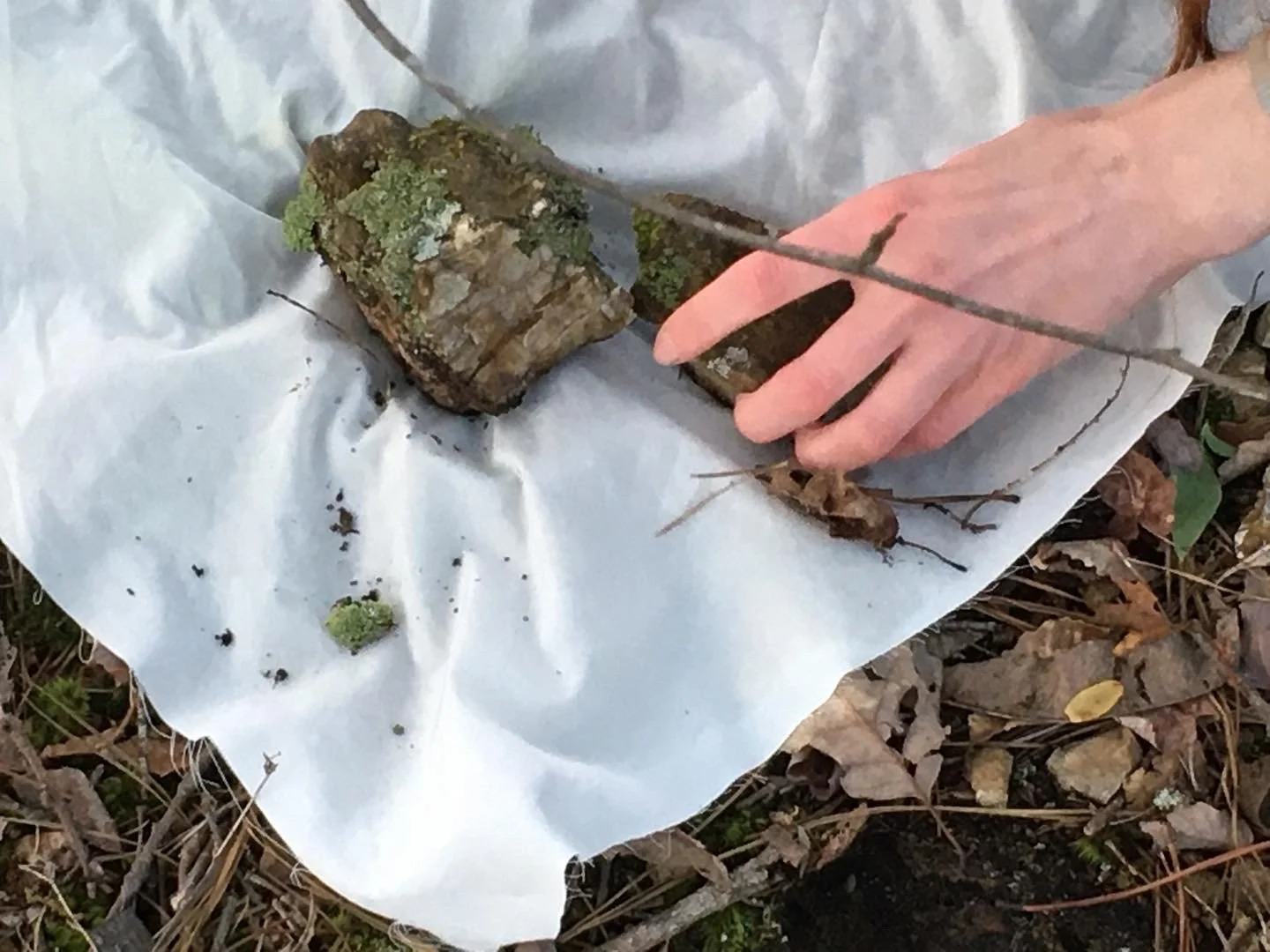 3A002873-9910-4120-82E5-E0E863A98389.jpeg