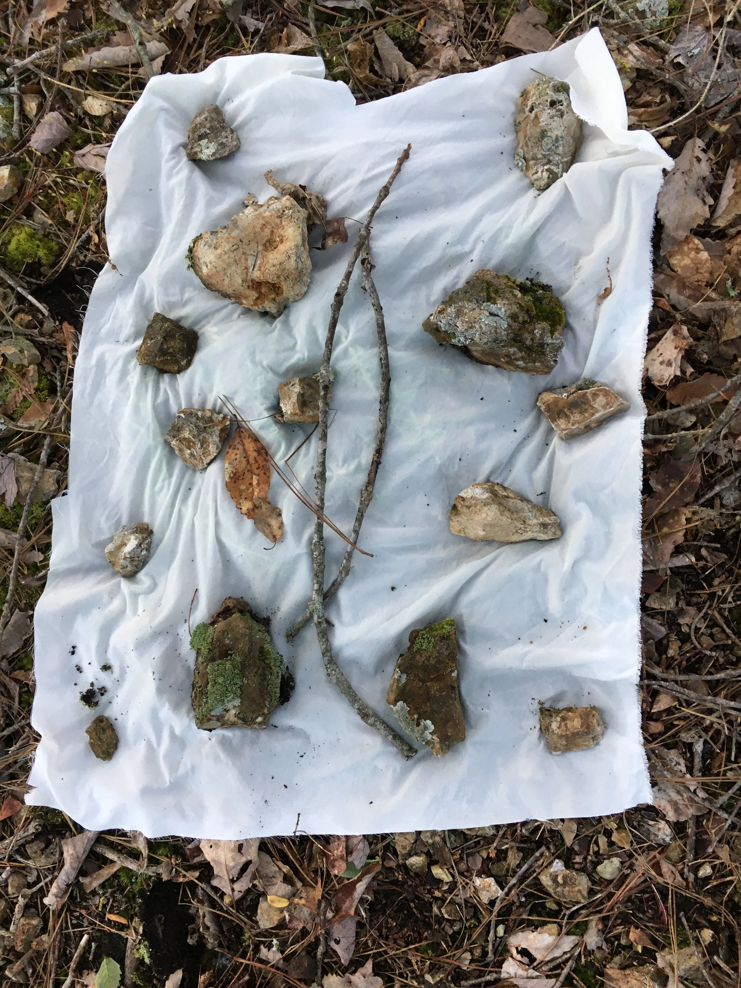 IMG_1310.jpeg