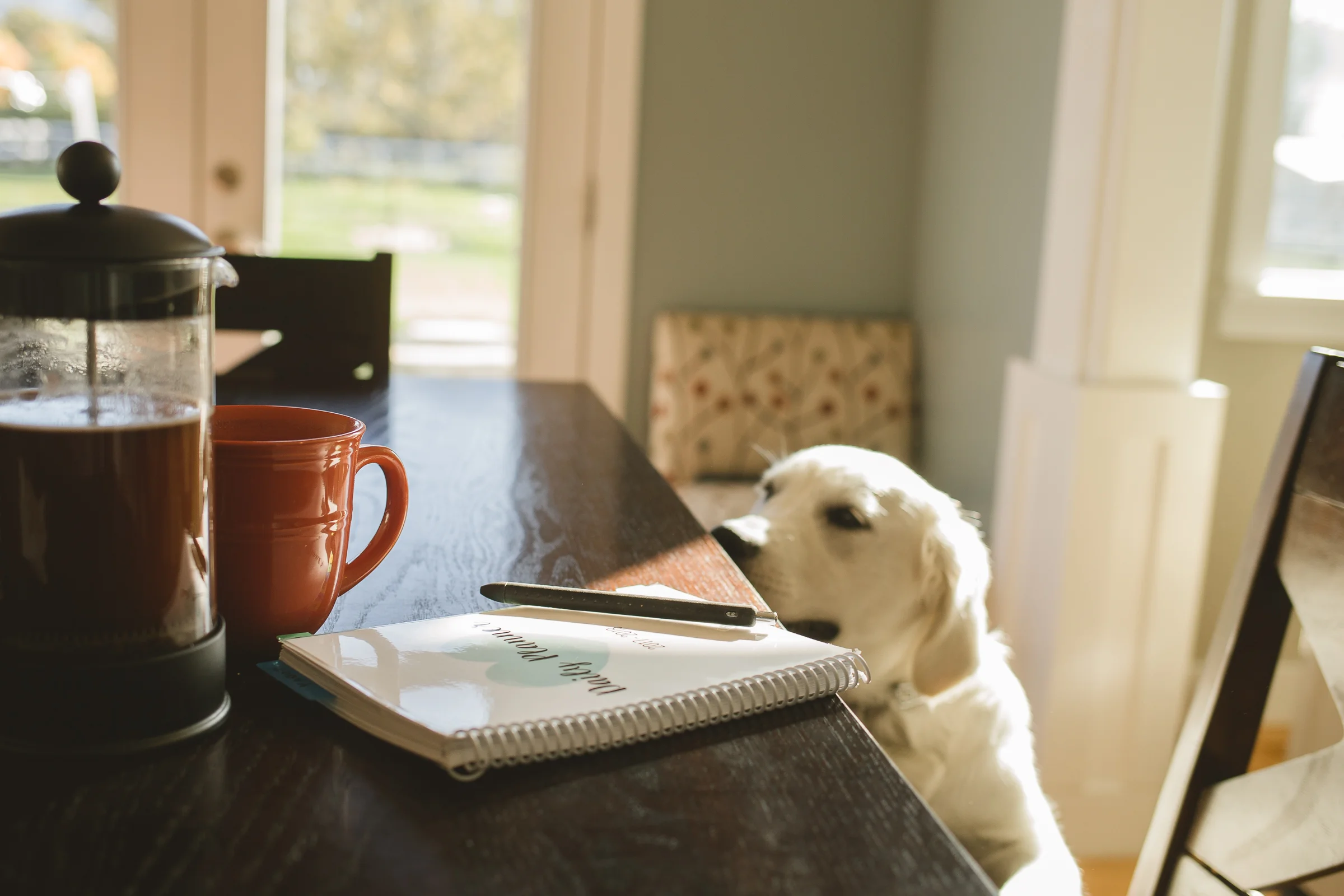 I call this one "Battle Stations." My favorite time of the day is when I've finally got everyone off to school and settled, and I have a minute (sometimes just a minute) to sit down and plan my day in my meticulously designed daily planner. My pot of Crio Bru is handy at all times, of course. Usually the sun is shining in warm and beautifully, and I find a sunny spot to sit and figure out my day. My puppy Luna decided to join me, and she is welcome as long as she doesn't ruin the moment. I didn't feel like she ruined the shot. :)