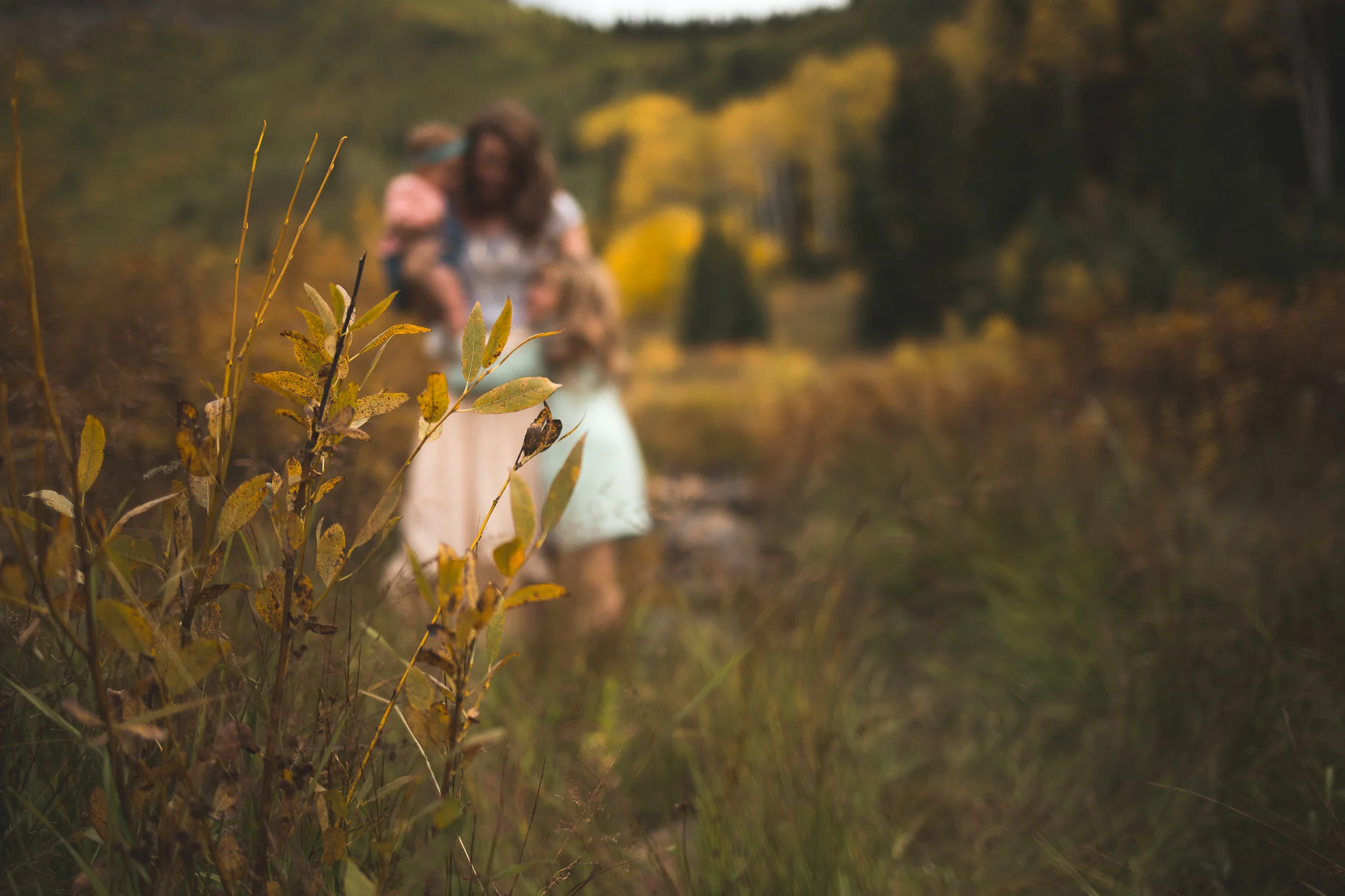 Mountain lifestyle portraits ~ American Fork canyon {Utah family photographer}