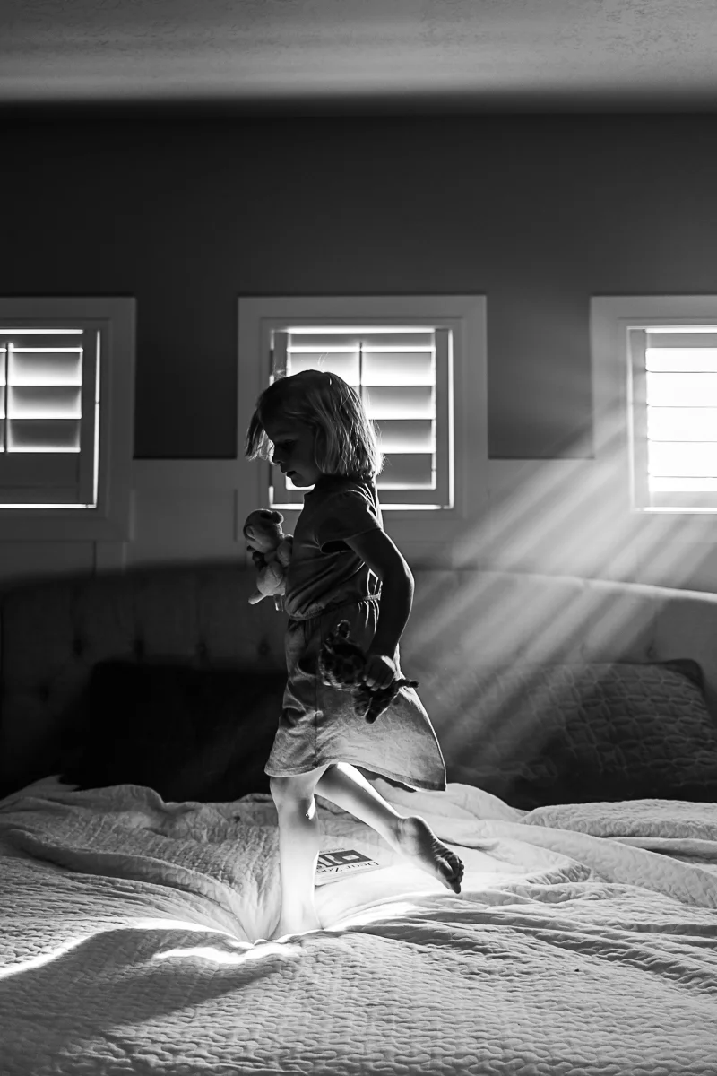Luminous Window-4.jpg