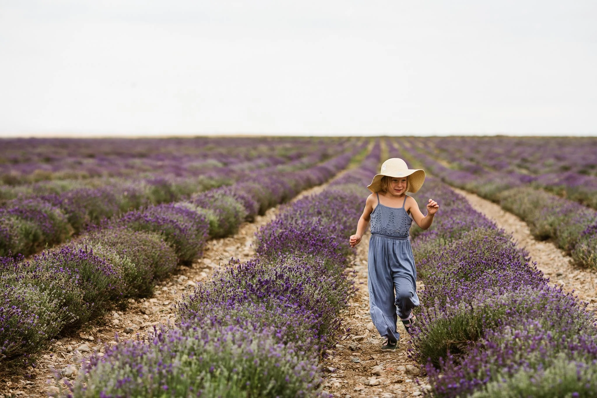 WEB Lavender-1-2.jpg