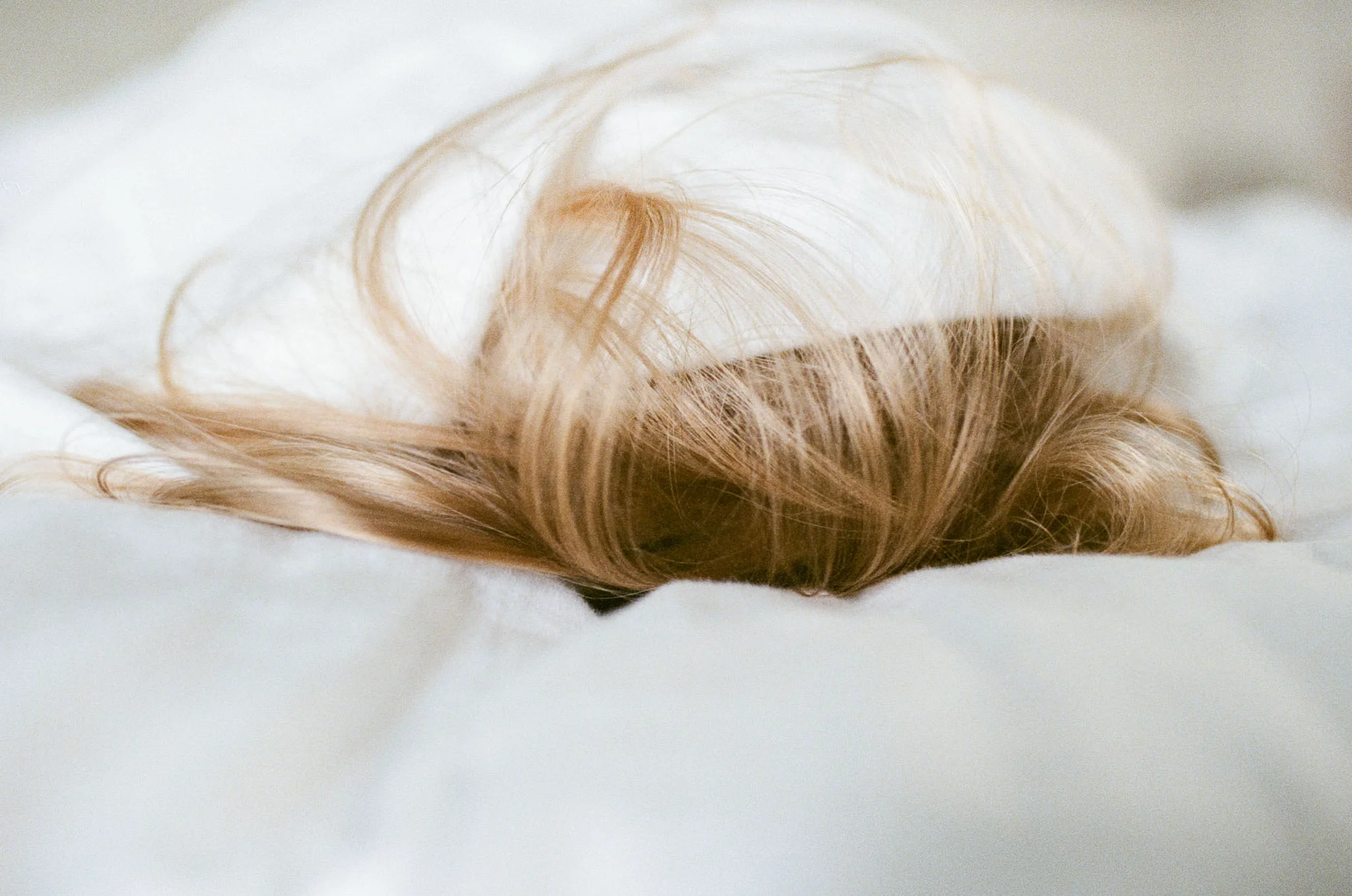 Bed film-1.jpg