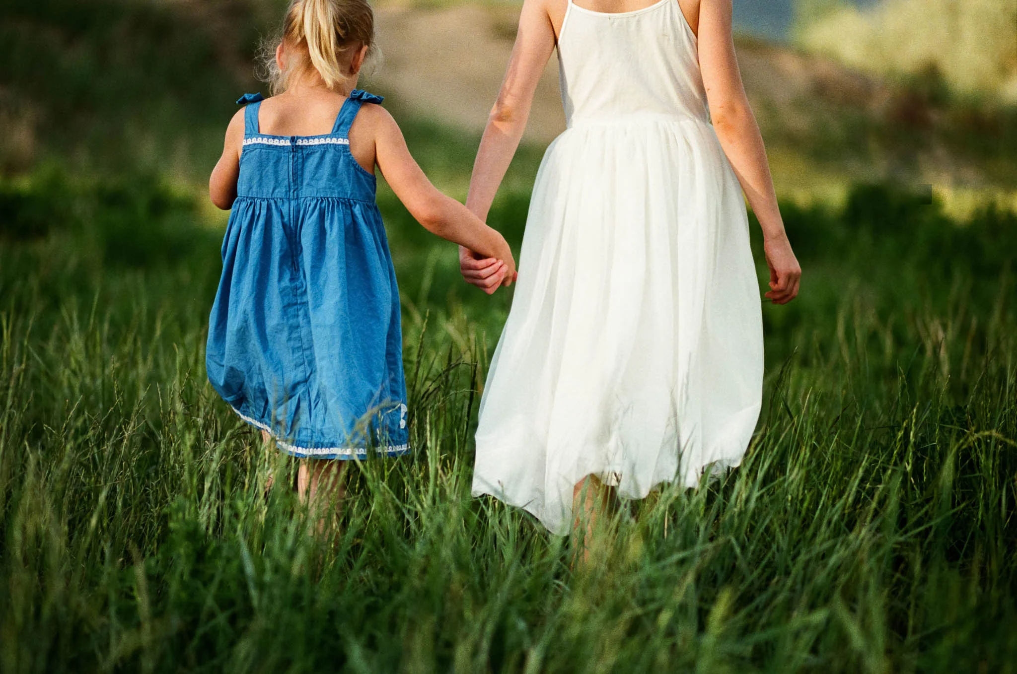 Meadow Film-1-2.jpg