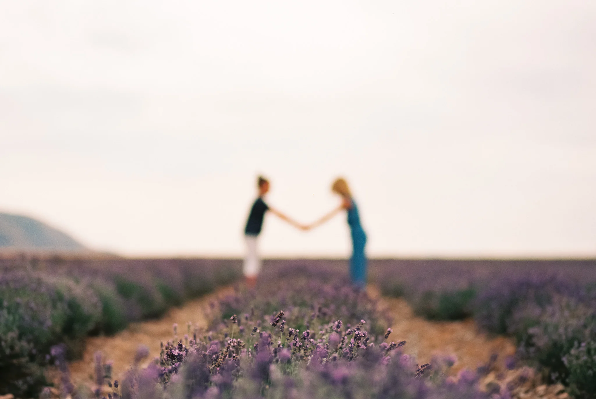 Lavender Film-1.jpg