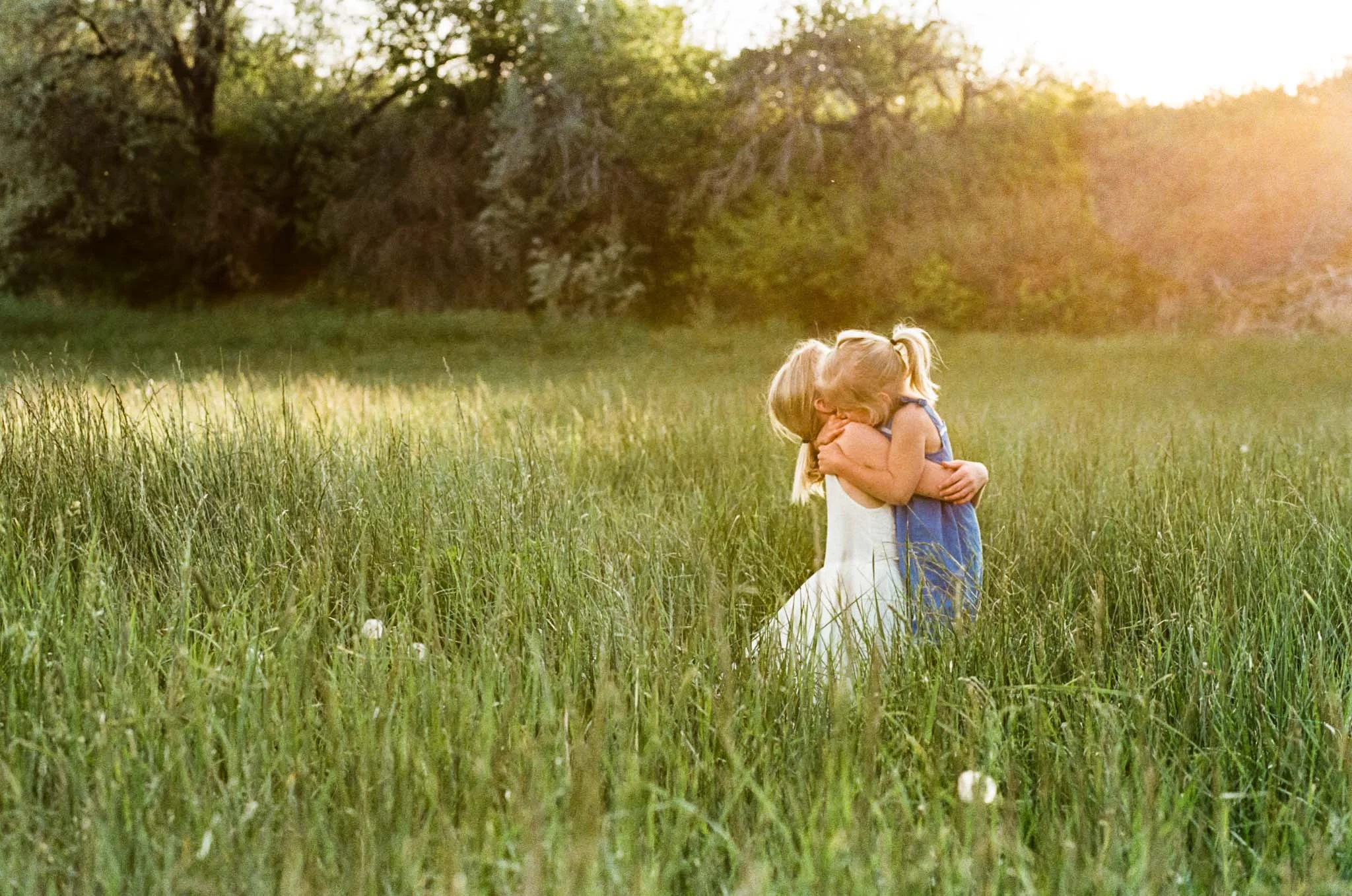 Meadow Film-1.jpg