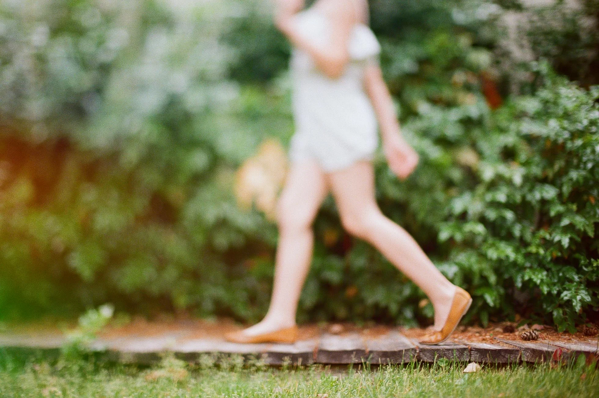 DP Walking-1.jpg