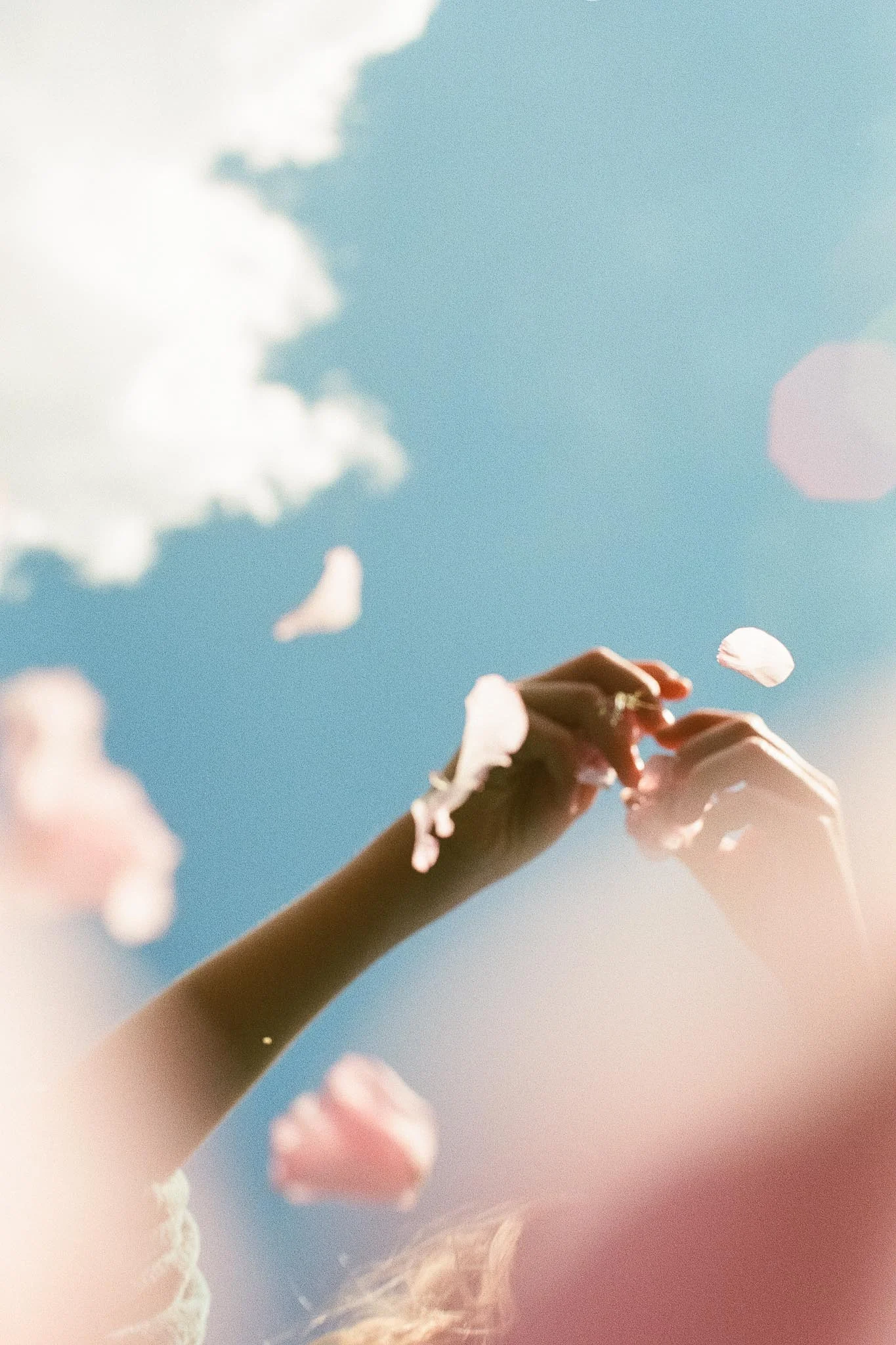 WEB Petals-1.jpg