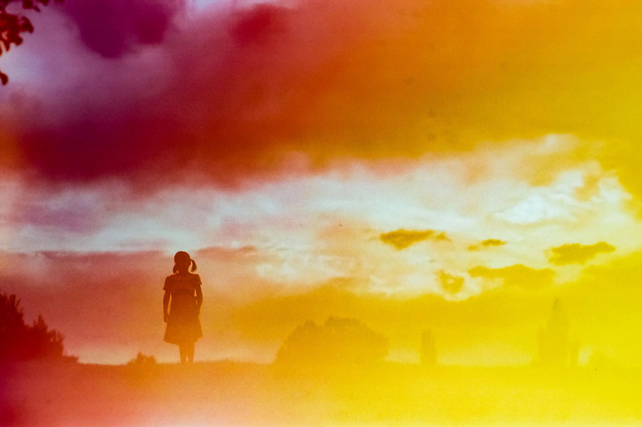 WEB Light Leak-1.jpg