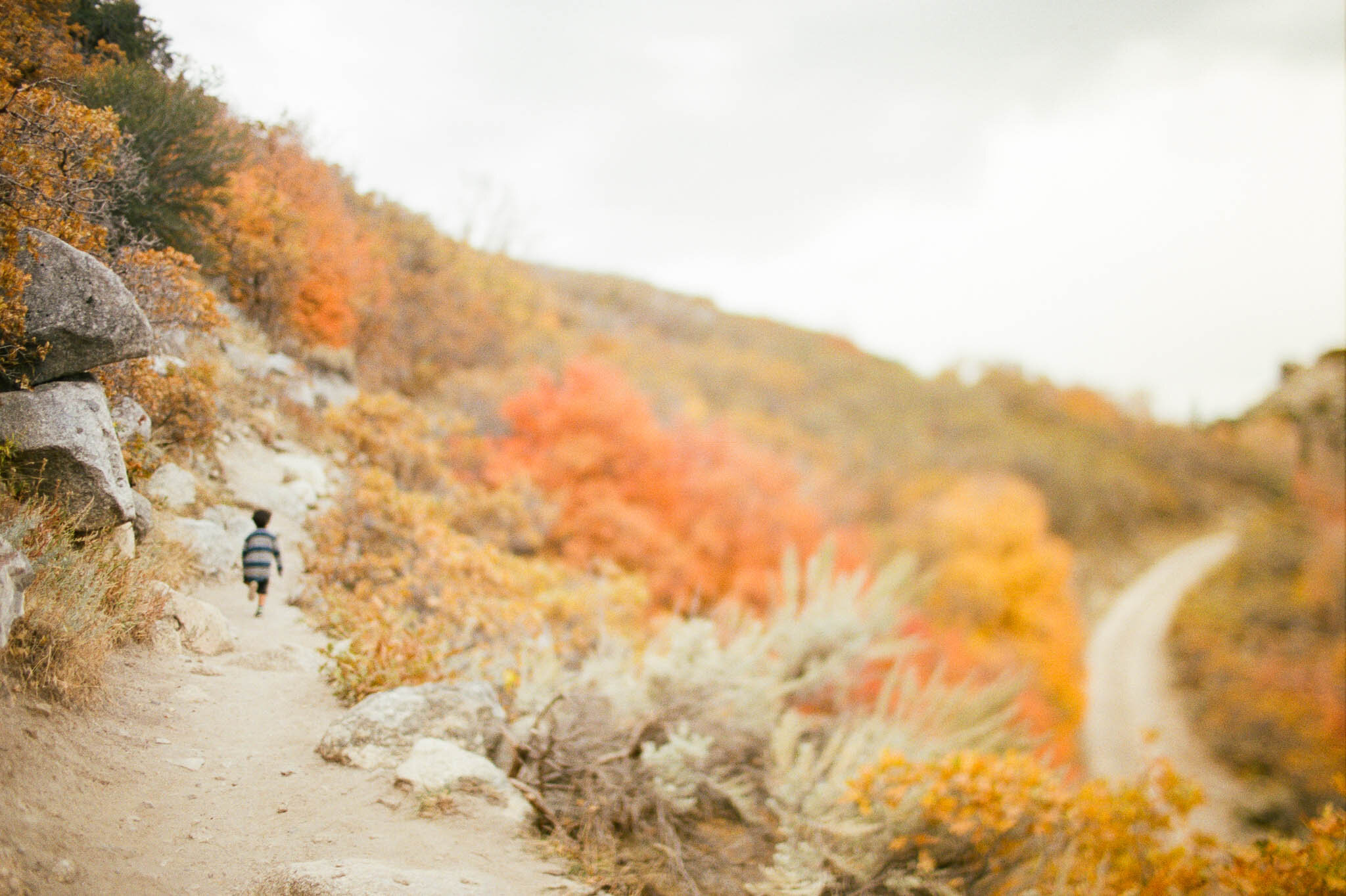 Mountain Hike {Family of Three Fall Session} | Utah Film Photographer
