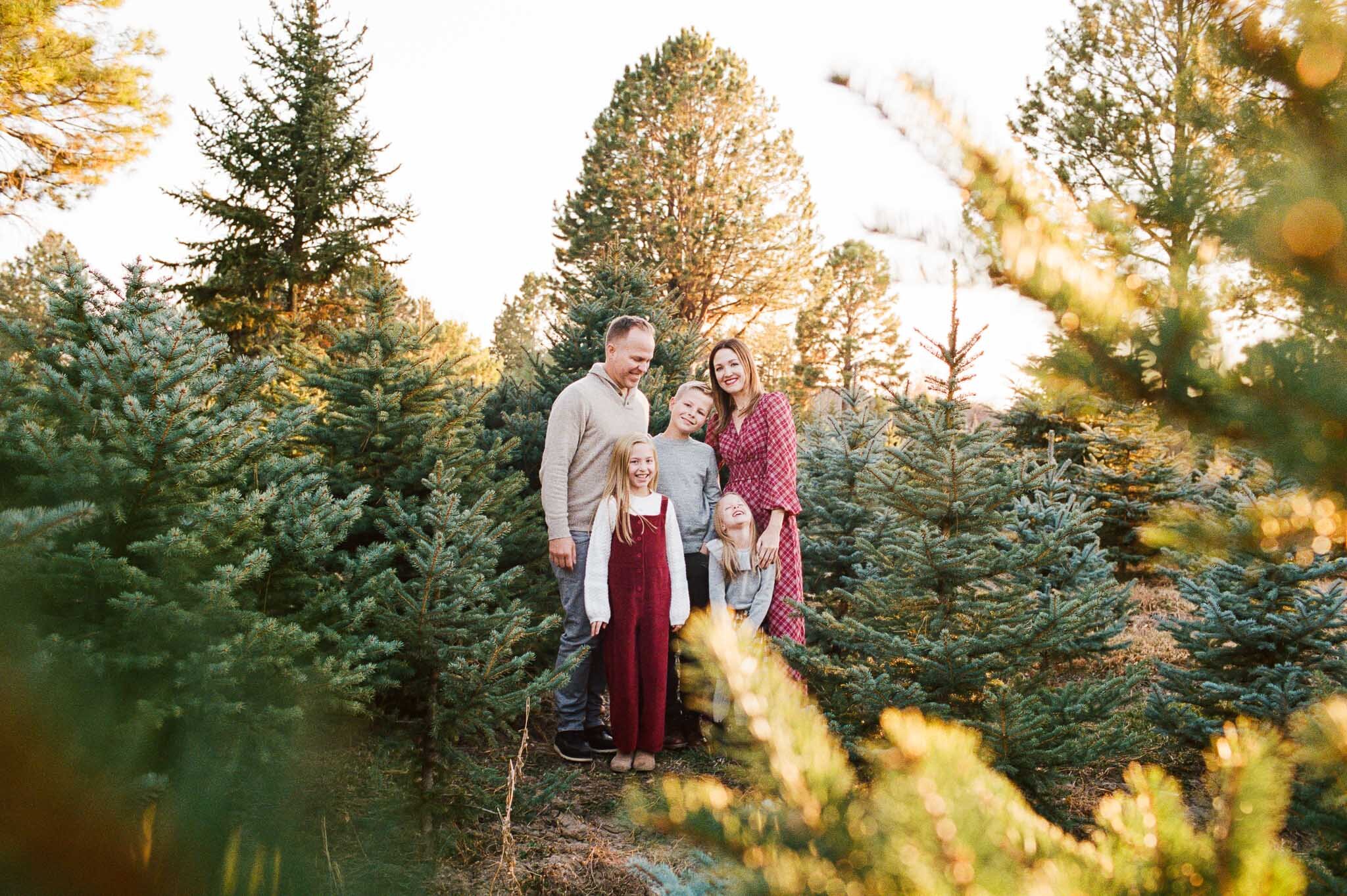 Farmington Family Christmas Mini Session {Alpine Tree Farm} | Utah Lifestyle Photographer