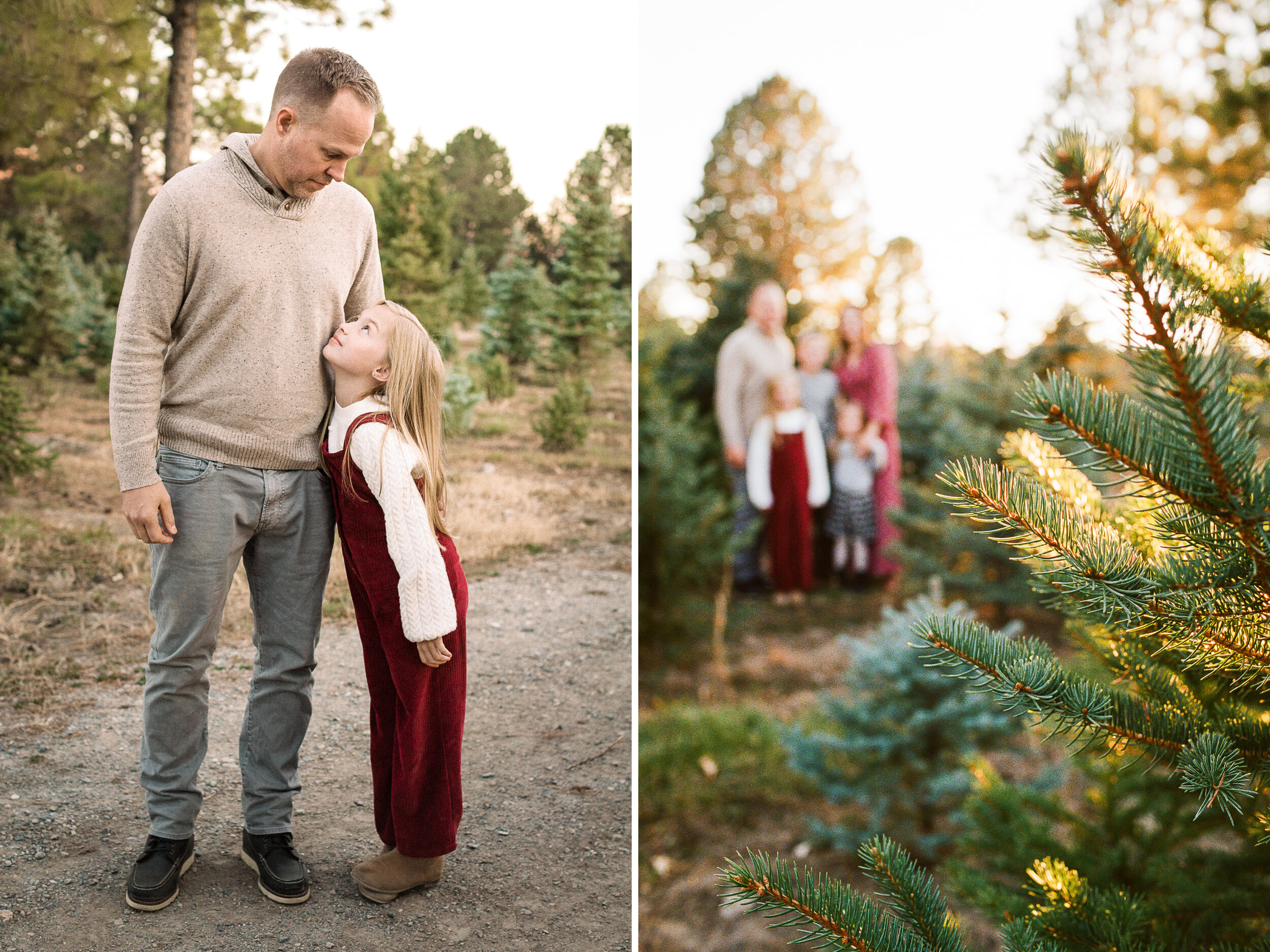 Farmington Family Christmas Mini Session {Alpine Tree Farm} | Utah Lifestyle Photographer