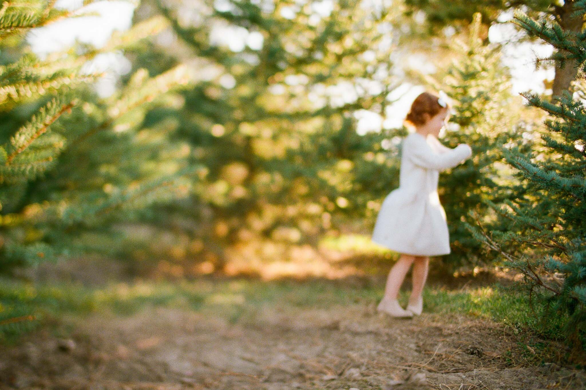 Alpine Christmas Tree Farm Mini {Utah County Family Sessions) | Lifestyle Family and Film Photographer