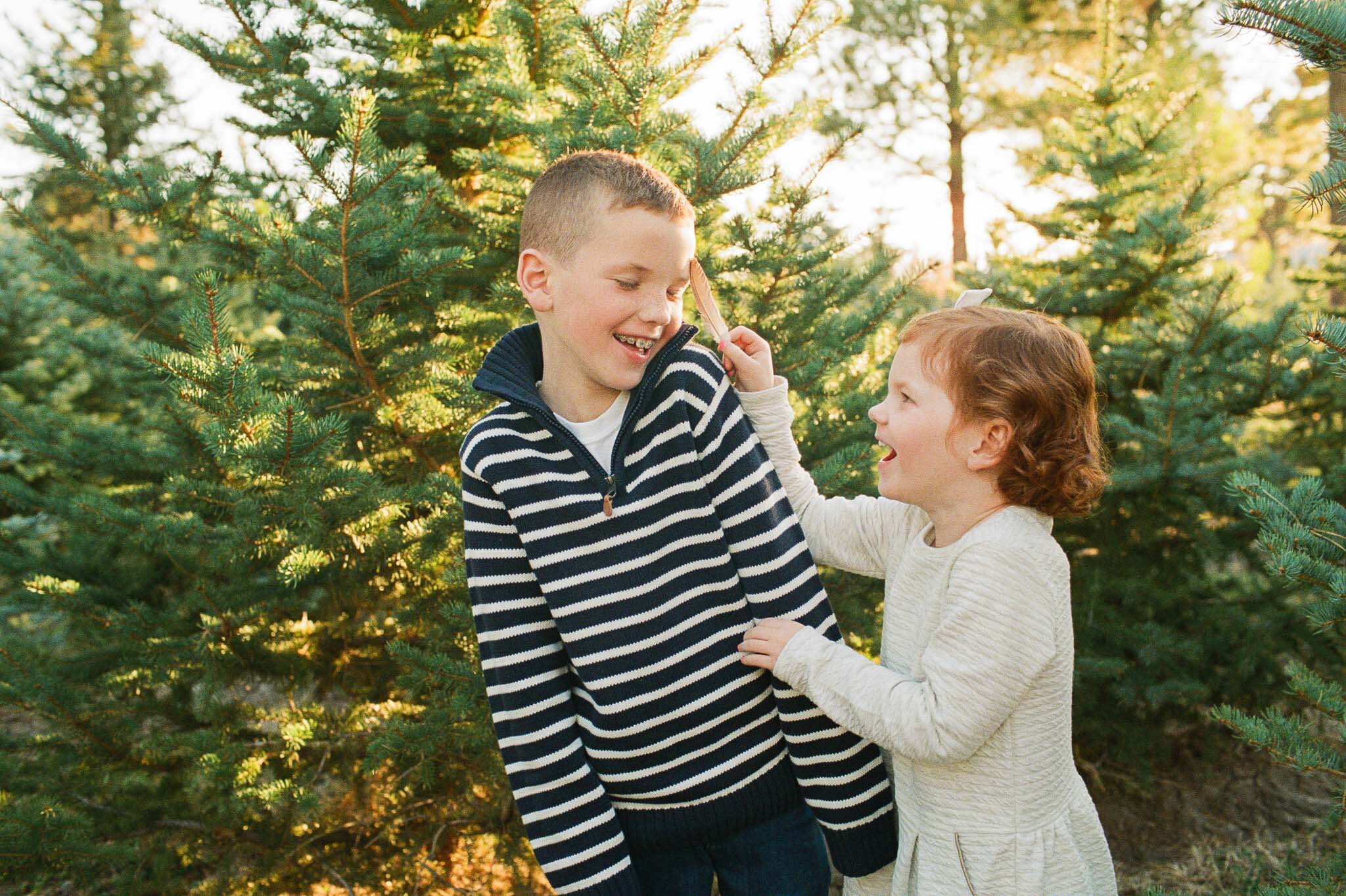 Alpine Christmas Tree Farm Mini {Utah County Family Sessions) | Lifestyle Family and Film Photographer