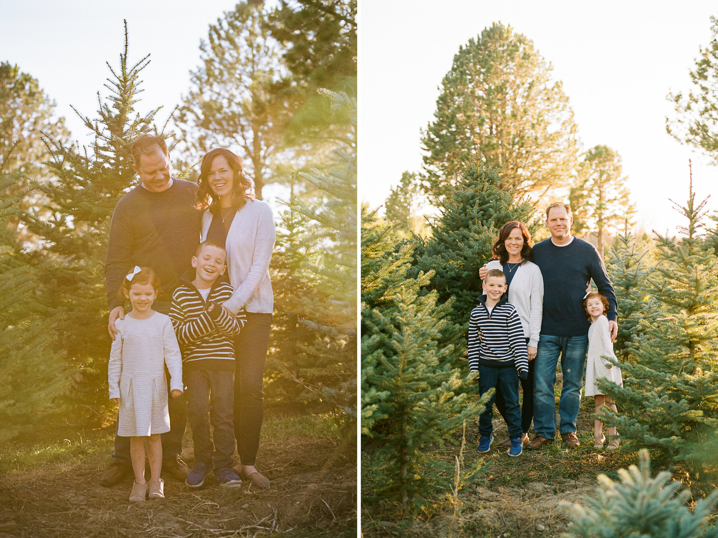 Alpine Christmas Tree Farm Mini {Utah County Family Sessions) | Lifestyle Family and Film Photographer