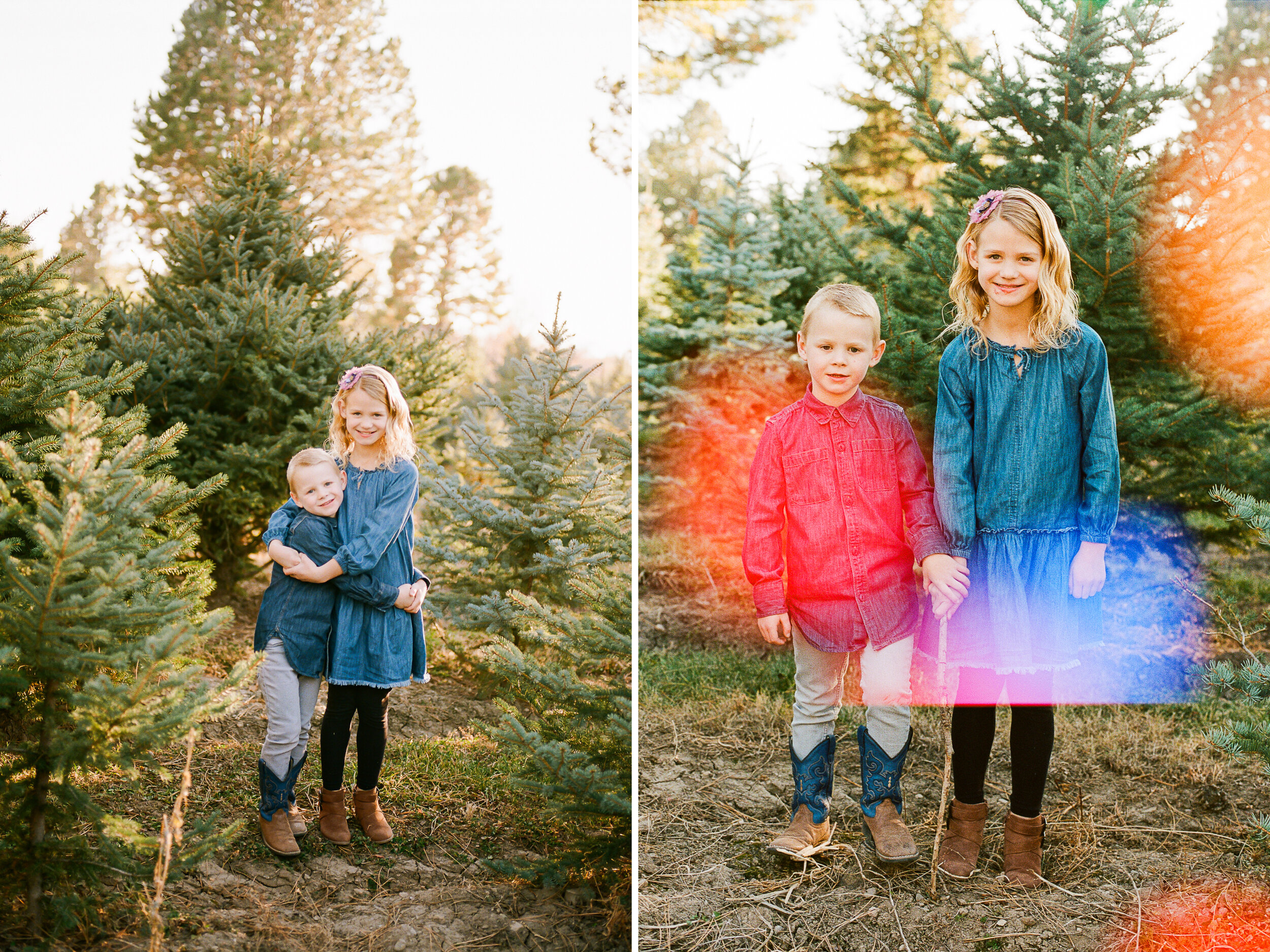 Highland Family Christmas Tree Farm Session {Alpine Mini Sessions} | Utah County Lifestyle Photographer