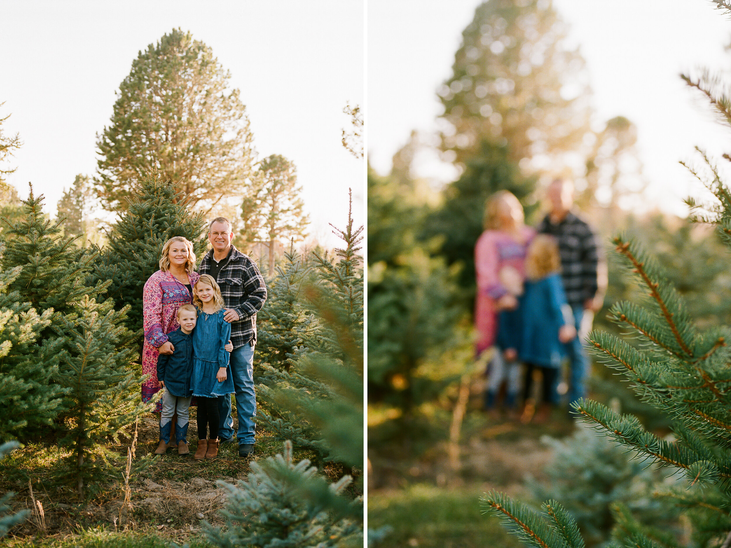 Highland Family Christmas Tree Farm Session {Alpine Mini Sessions} | Utah County Lifestyle Photographer