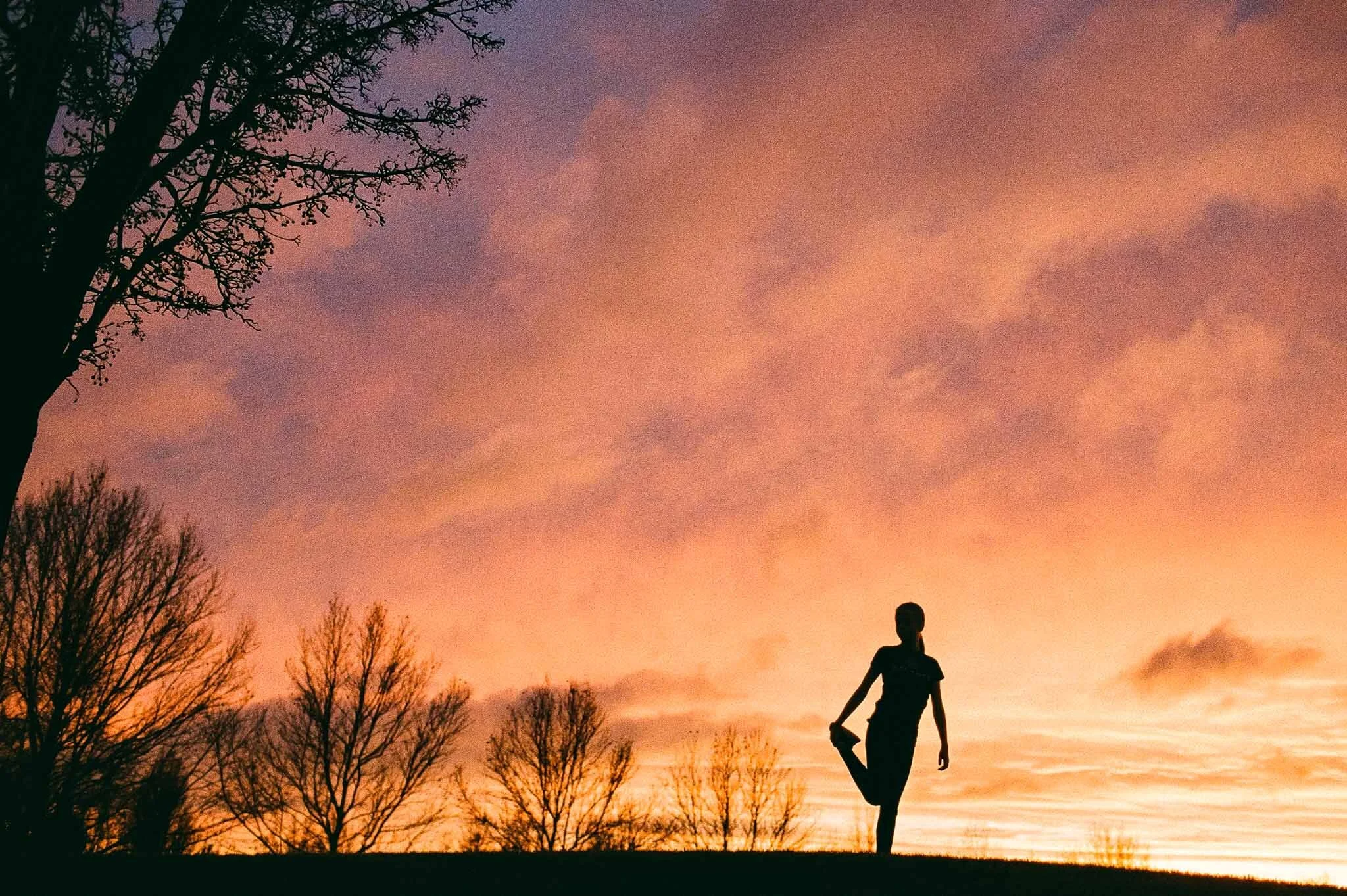 One Day One Roll Project | January 2020