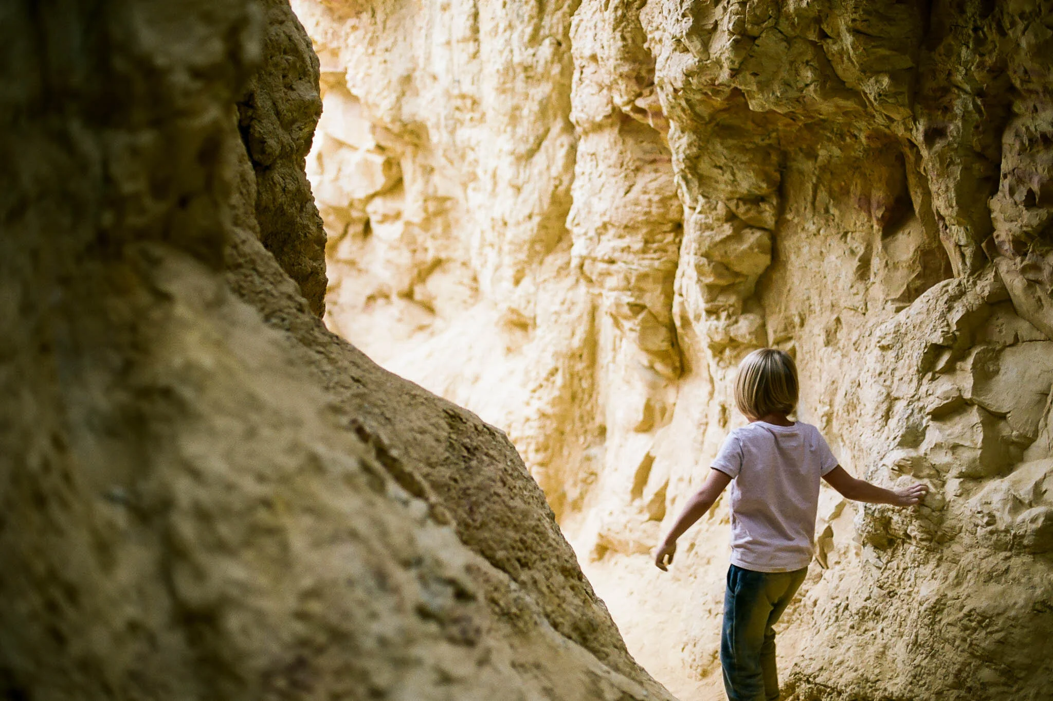 One Day One Roll | October 2020