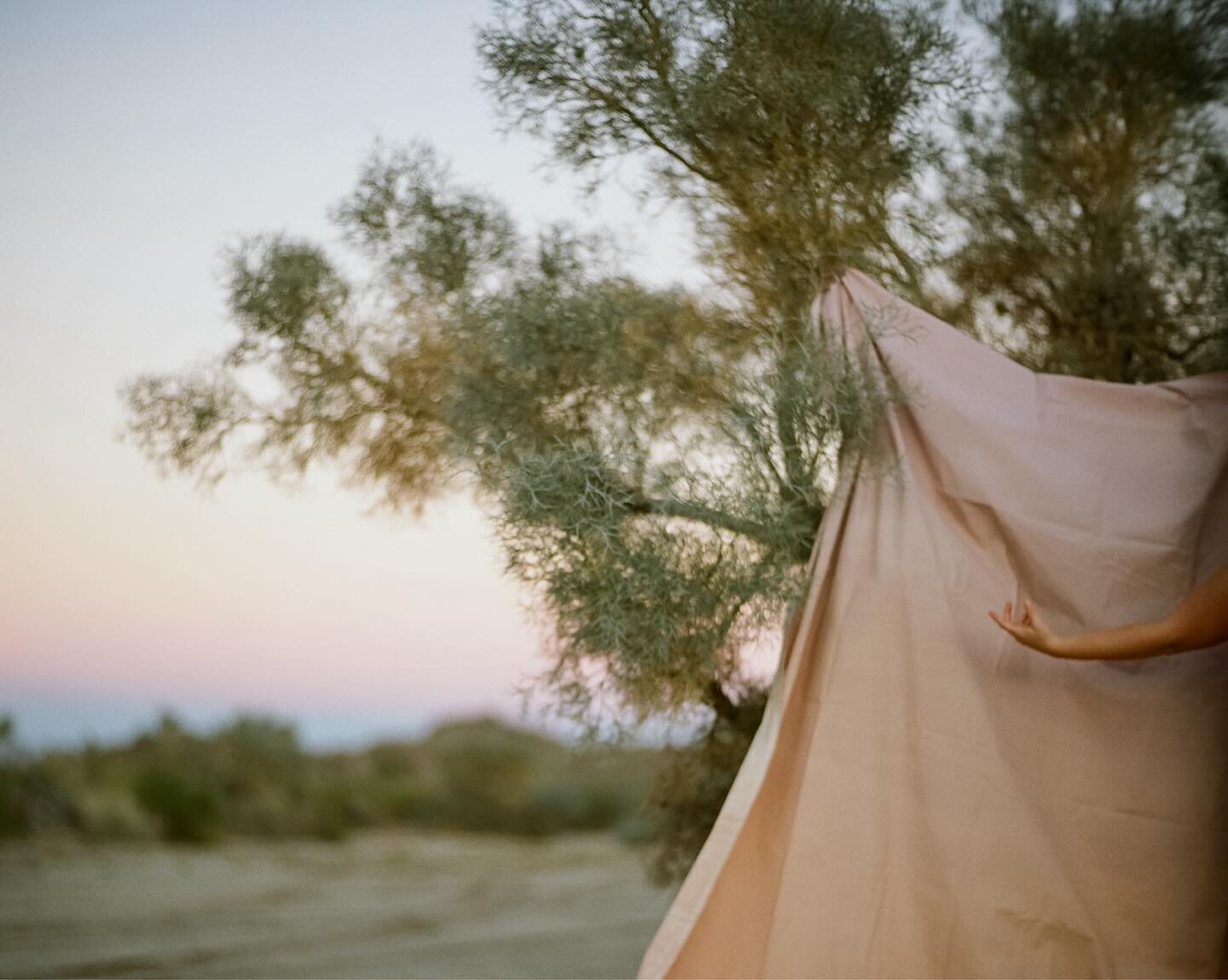 I posted many of my desert offerings to the film gods in my stories, but let&rsquo;s have a couple in my feed. I&rsquo;m having a moment with disembodied limbs. I have just been running with it without thinking too hard, but just as I was posting, a 