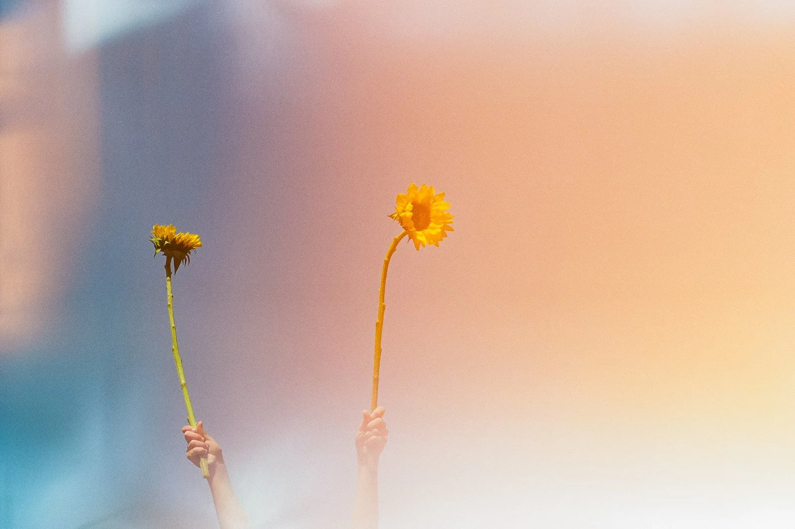 WEB CP200 Light Leaks-25.jpg