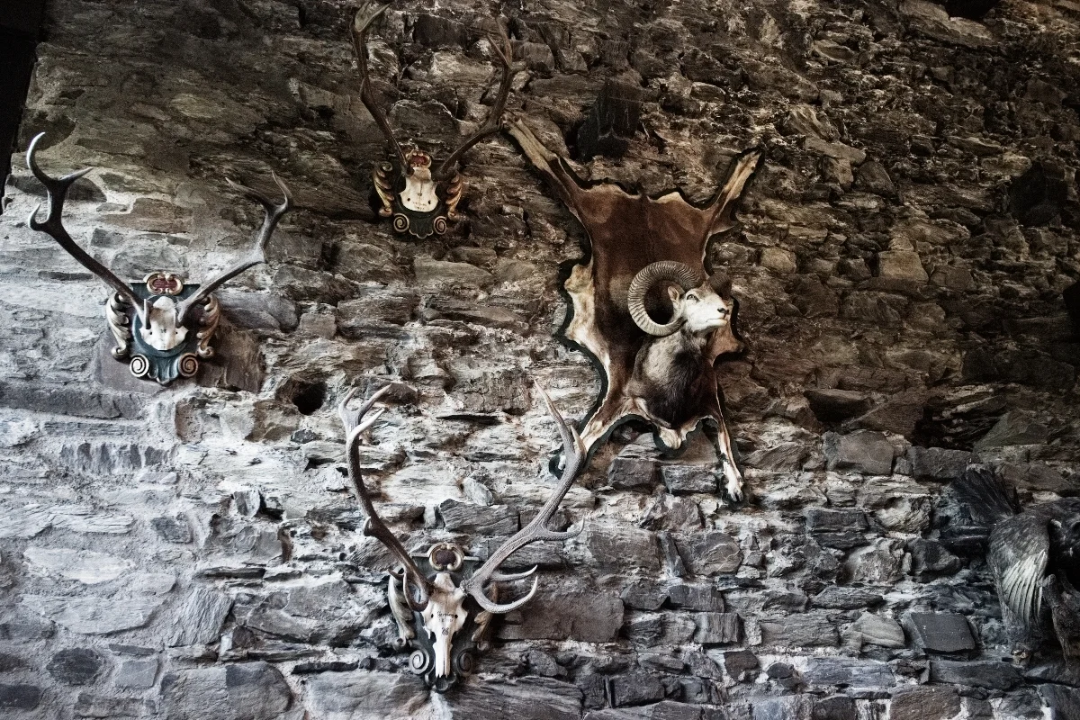 Burg sayn party kostüm (2).jpg