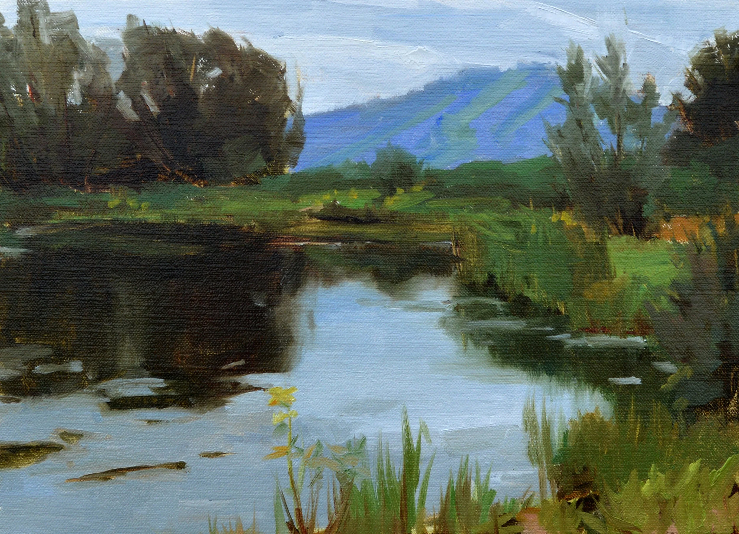 Elk Mountain
