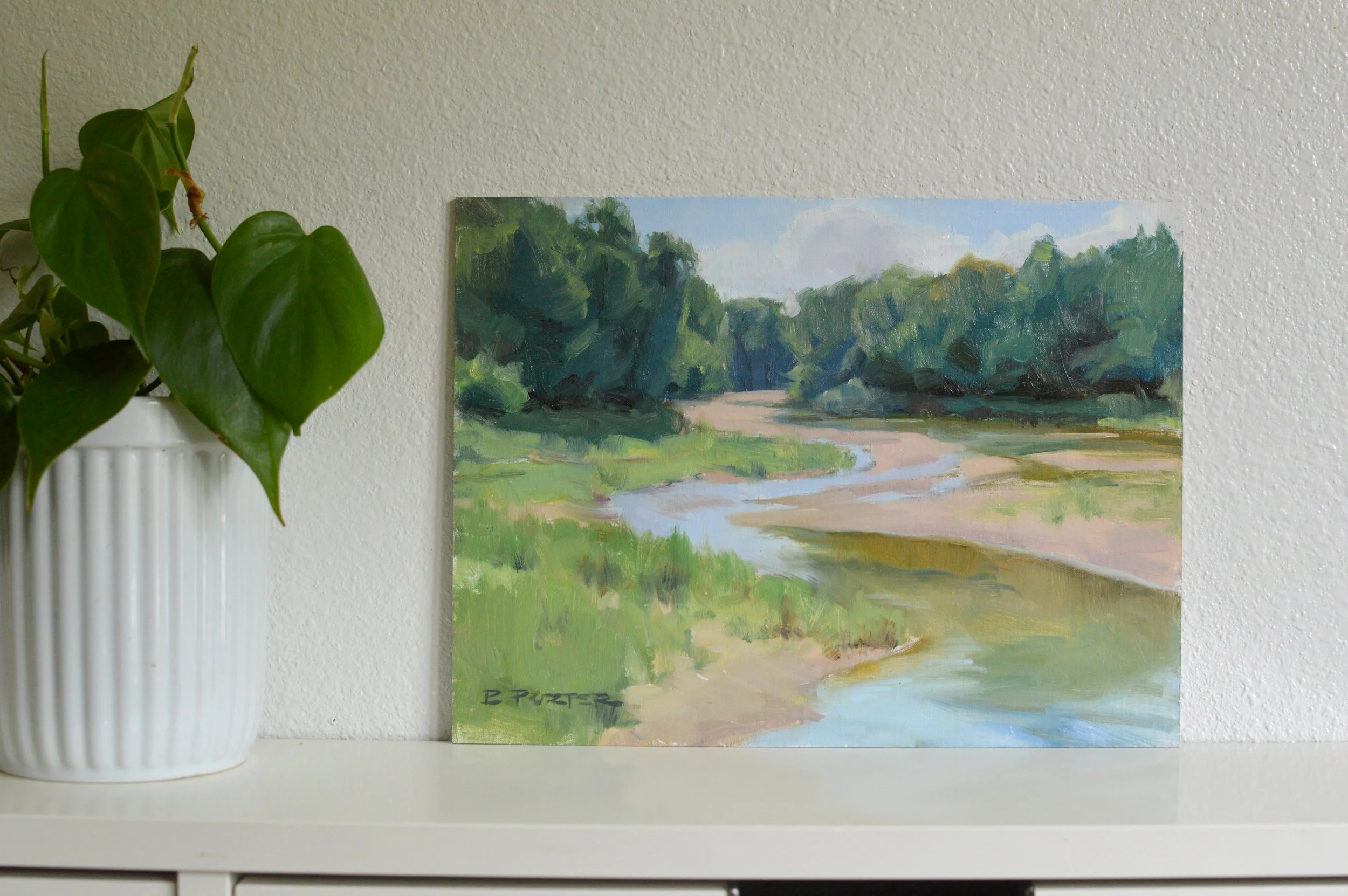 Bella Vista Lake- Spring.jpg